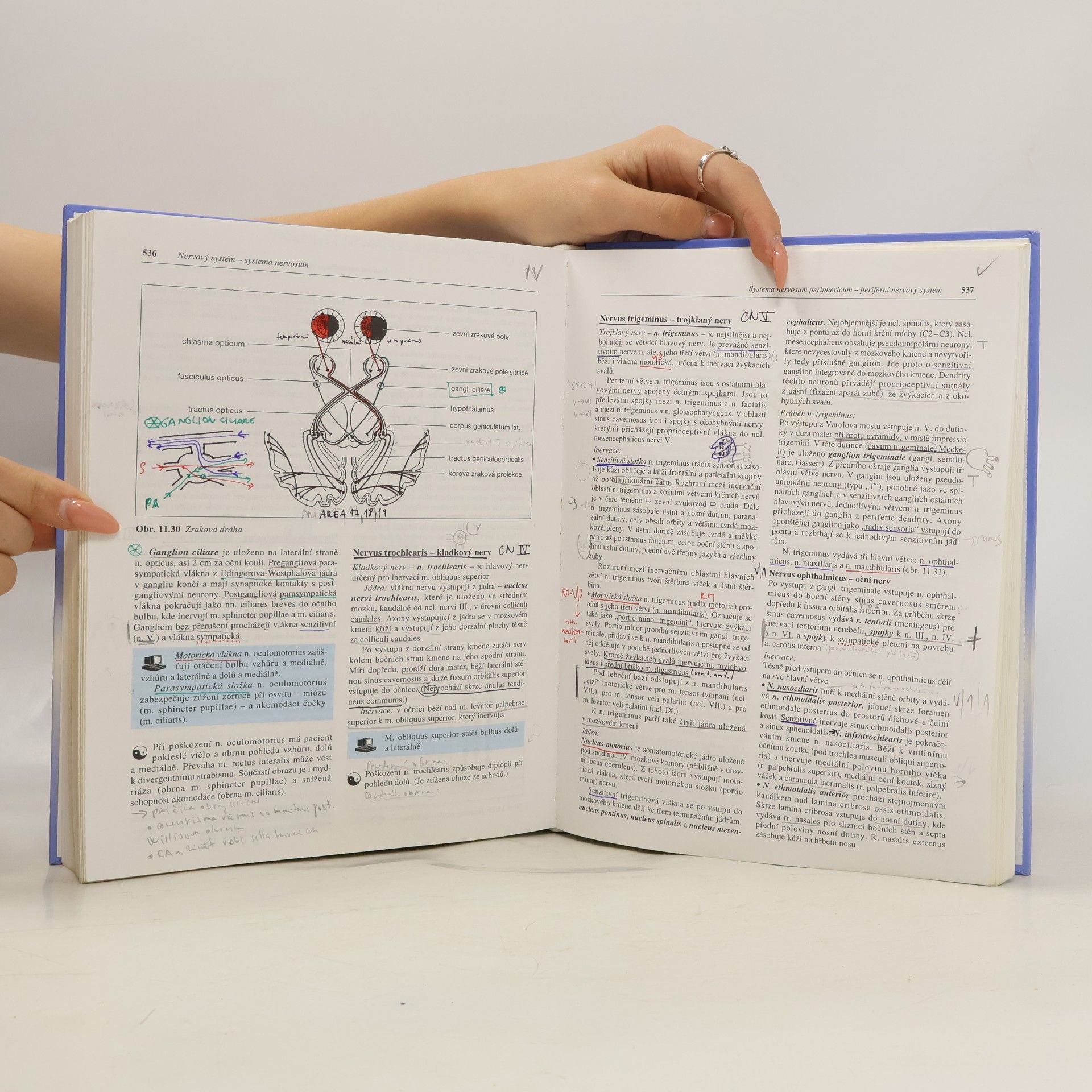 Ivan Dylevský Funkční anatomie člověka
