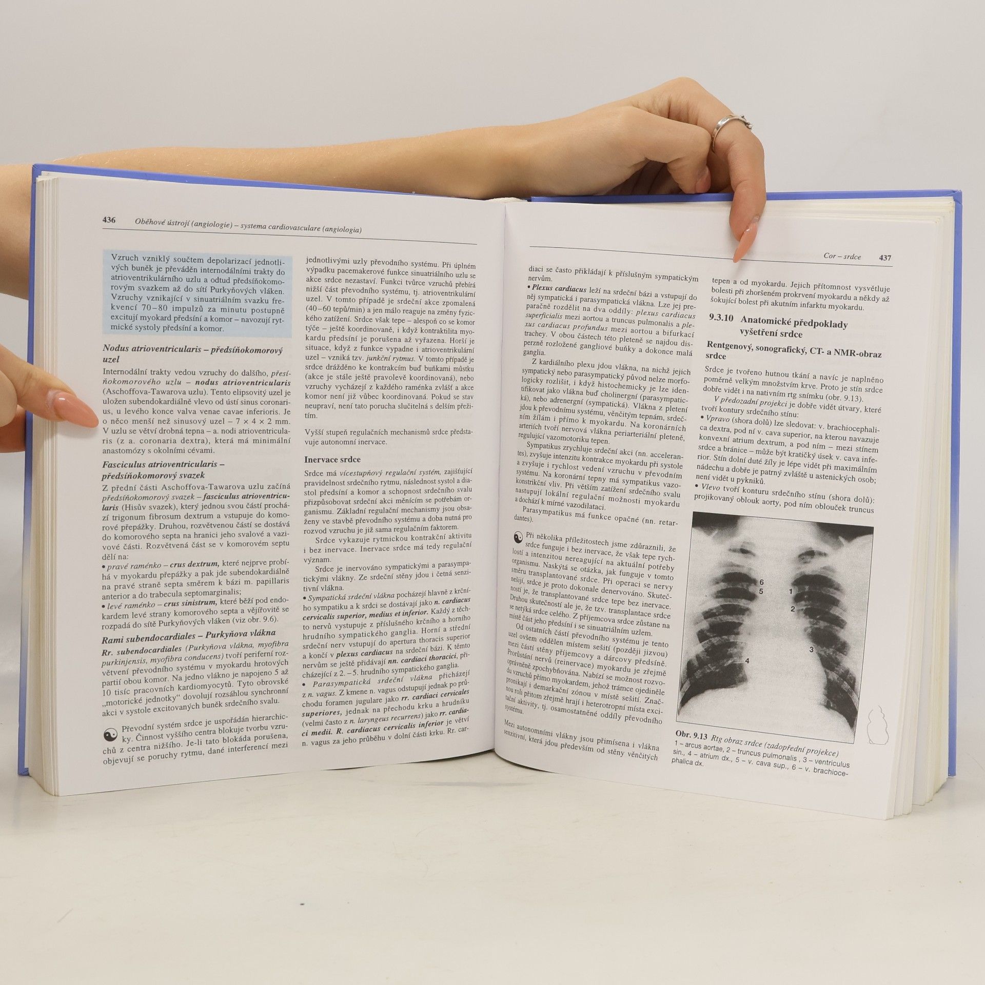 Ivan Dylevský Funkční anatomie člověka