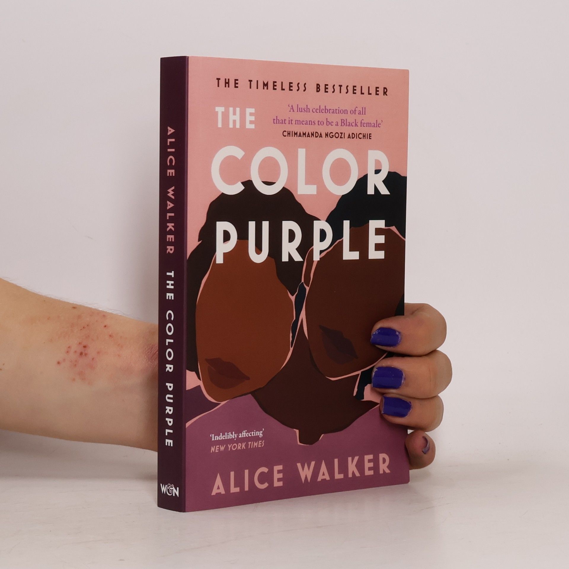 Alice Walker The Color Purple