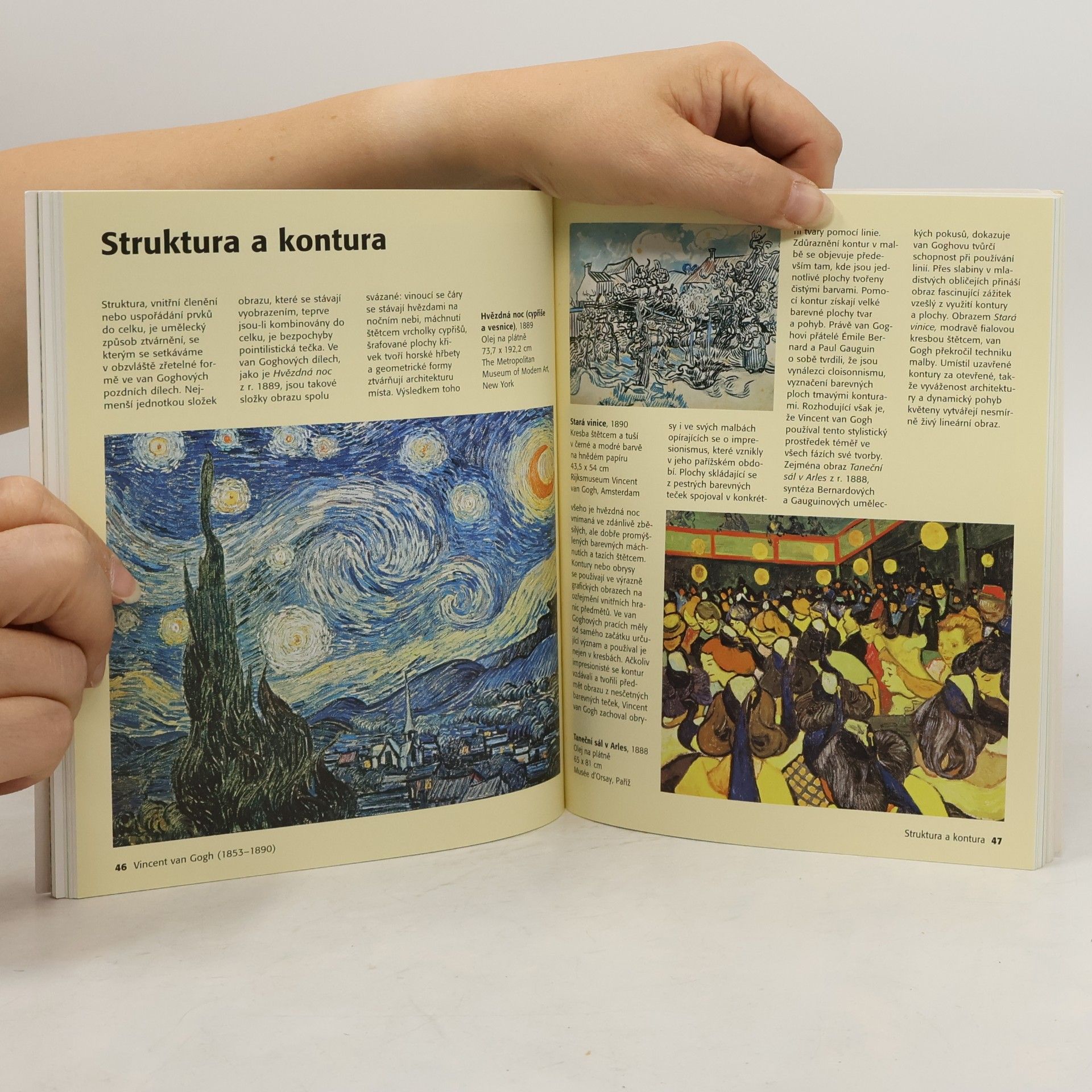Dieter Beaujean Vincent van Gogh. Život a dílo