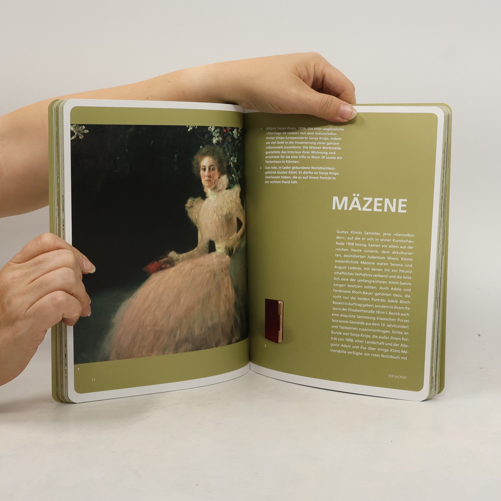 Barbara Sternthal Klimt Book. Die Geburt der Moderne
