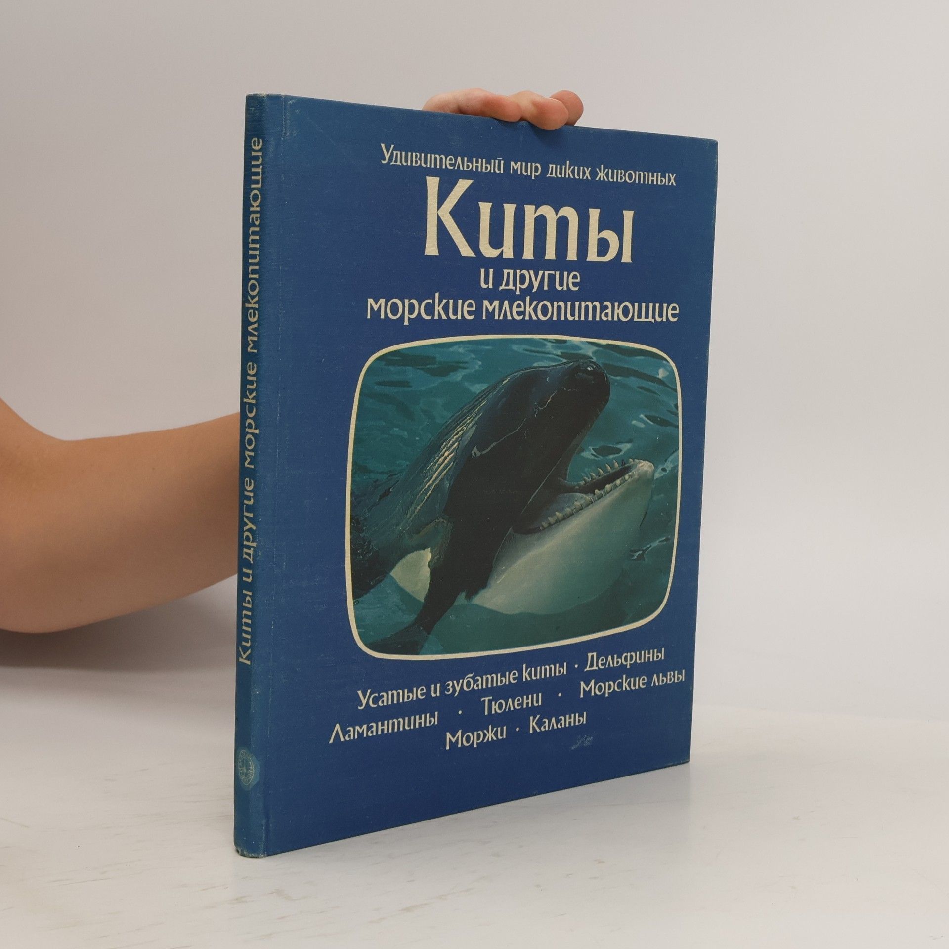 А. Шипов Киты и другие морские млекопитающие