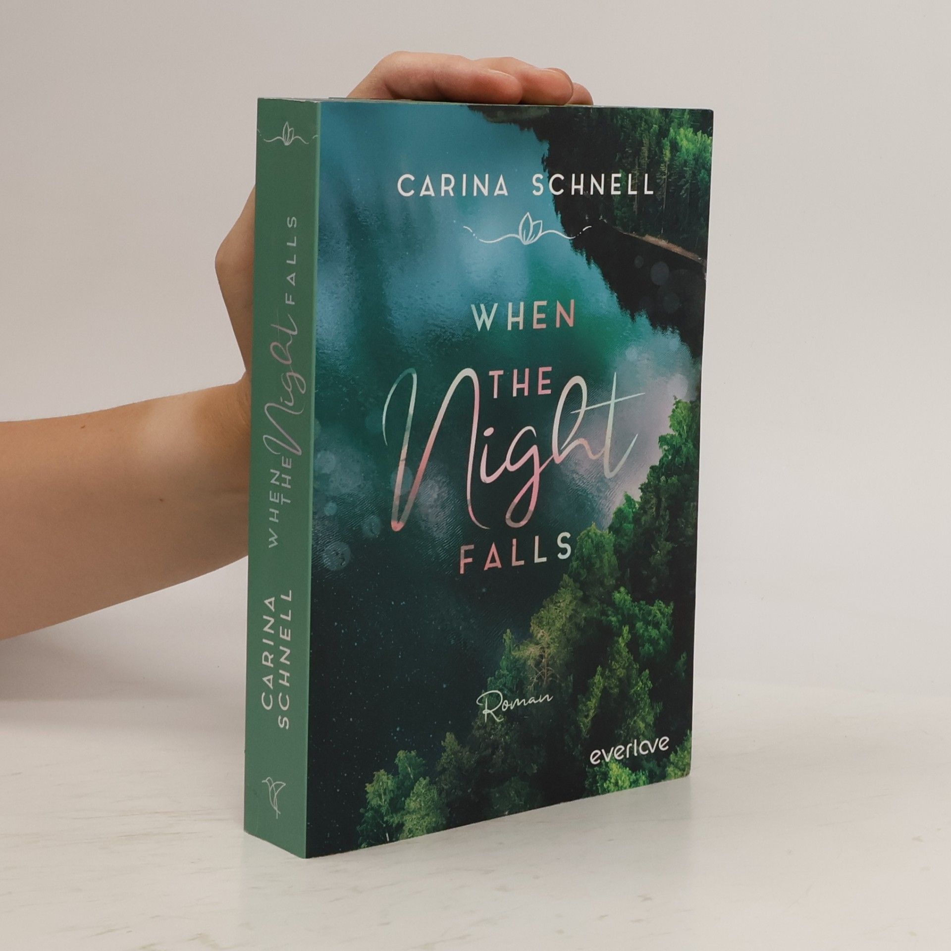 Karina Schnell When the Night Falls