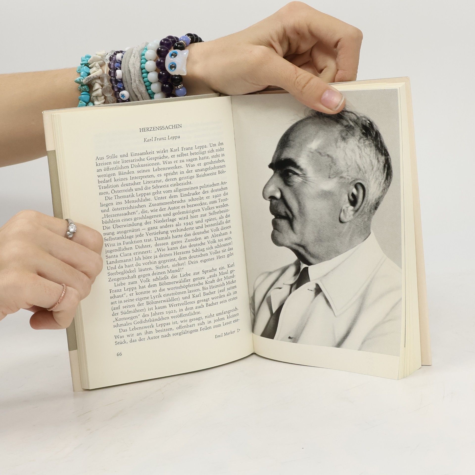 Wilhelm Formann Sudetendeutsche Dichtung heute