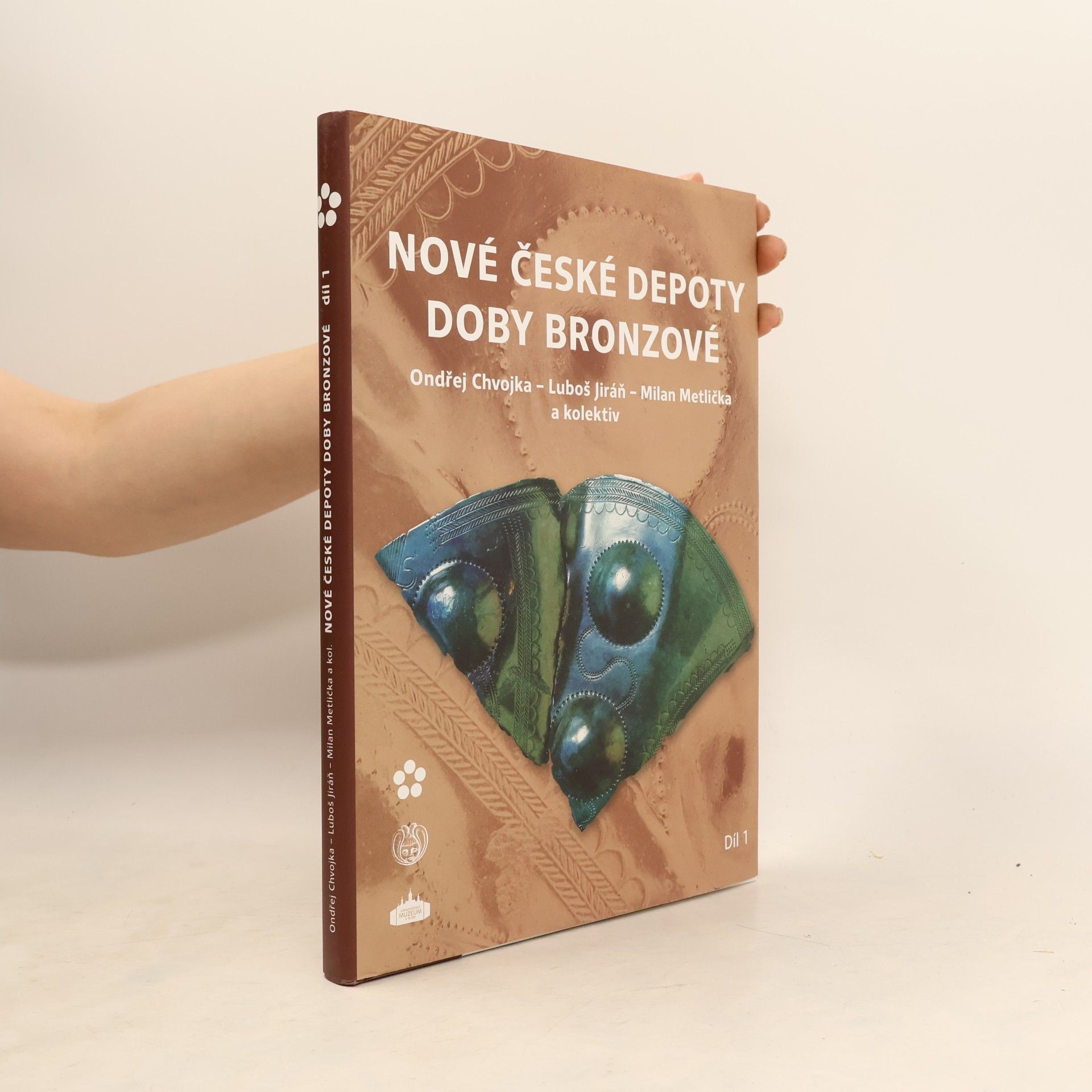 Kolektiv autorů Nové české depoty doby bronzové