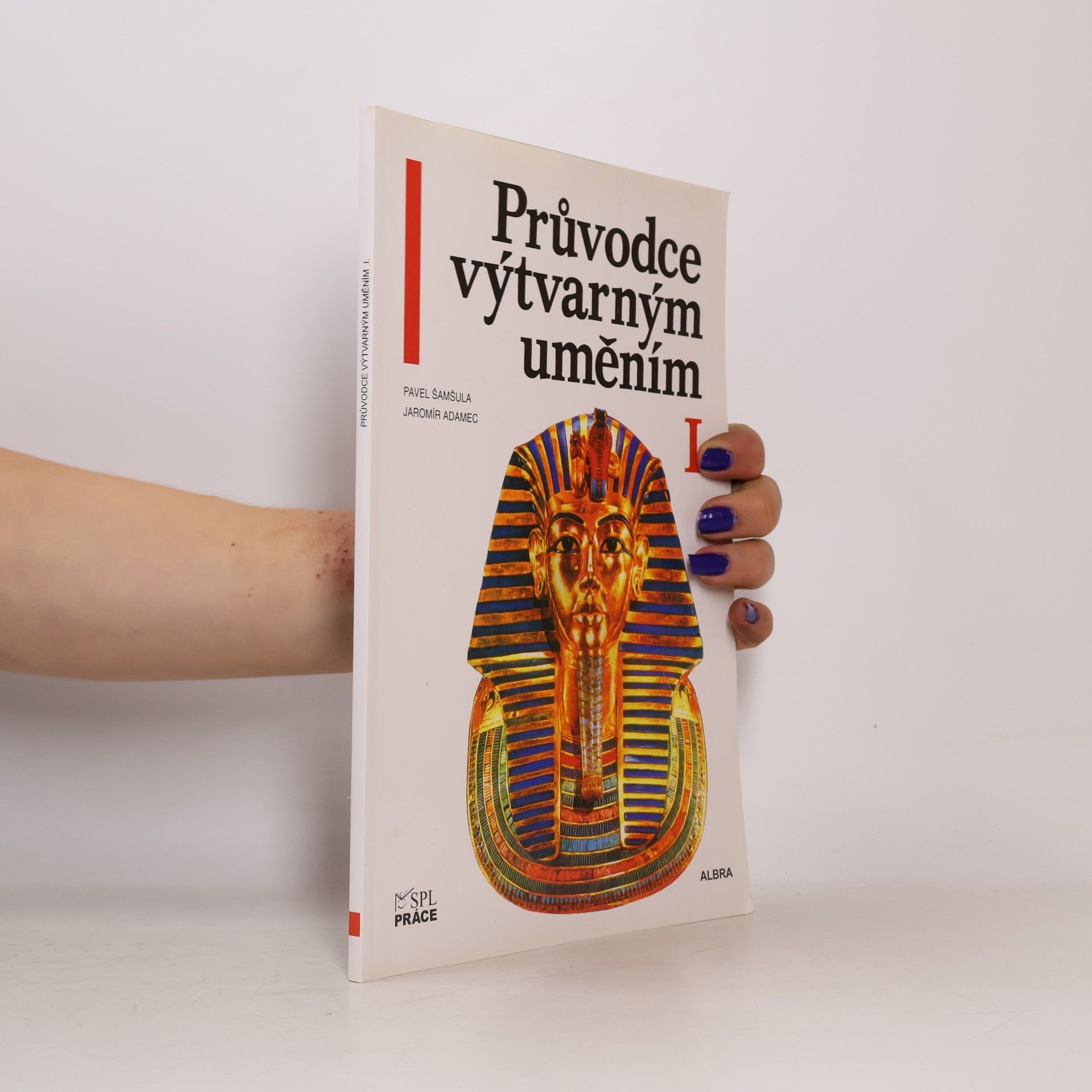 Pavel Šamšula Průvodce výtvarným uměním (1. díl)