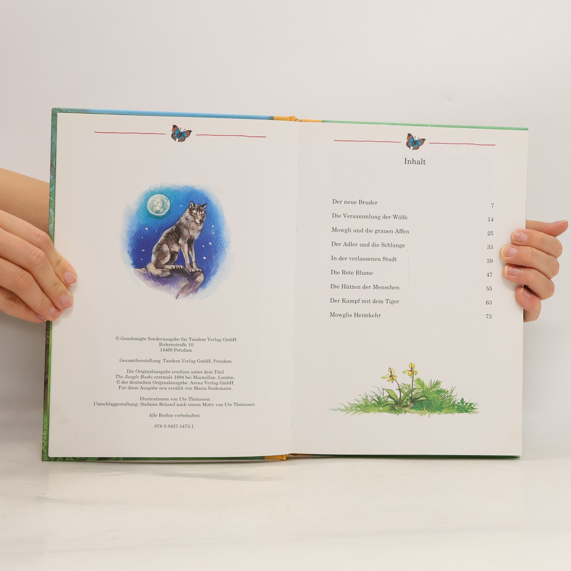 Rudyard Kipling Das Dschungelbuch