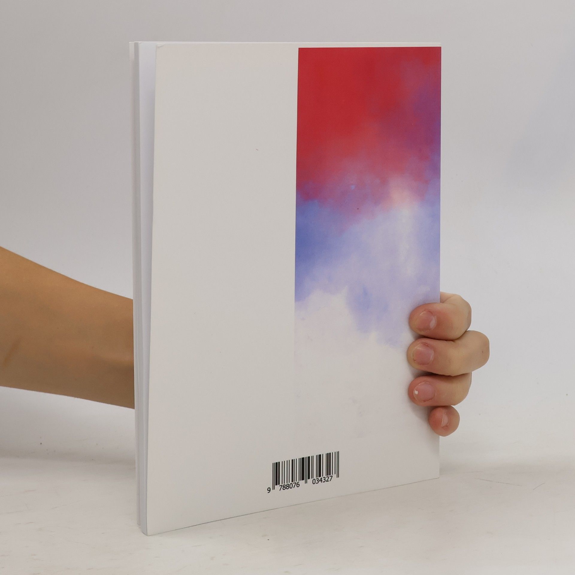 JeanLouis Joubert Zloději jazyka : průřez frankofonní literaturou