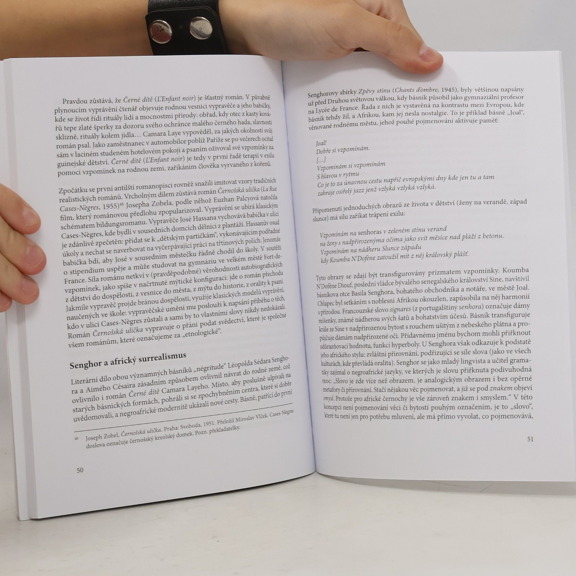 JeanLouis Joubert Zloději jazyka : průřez frankofonní literaturou