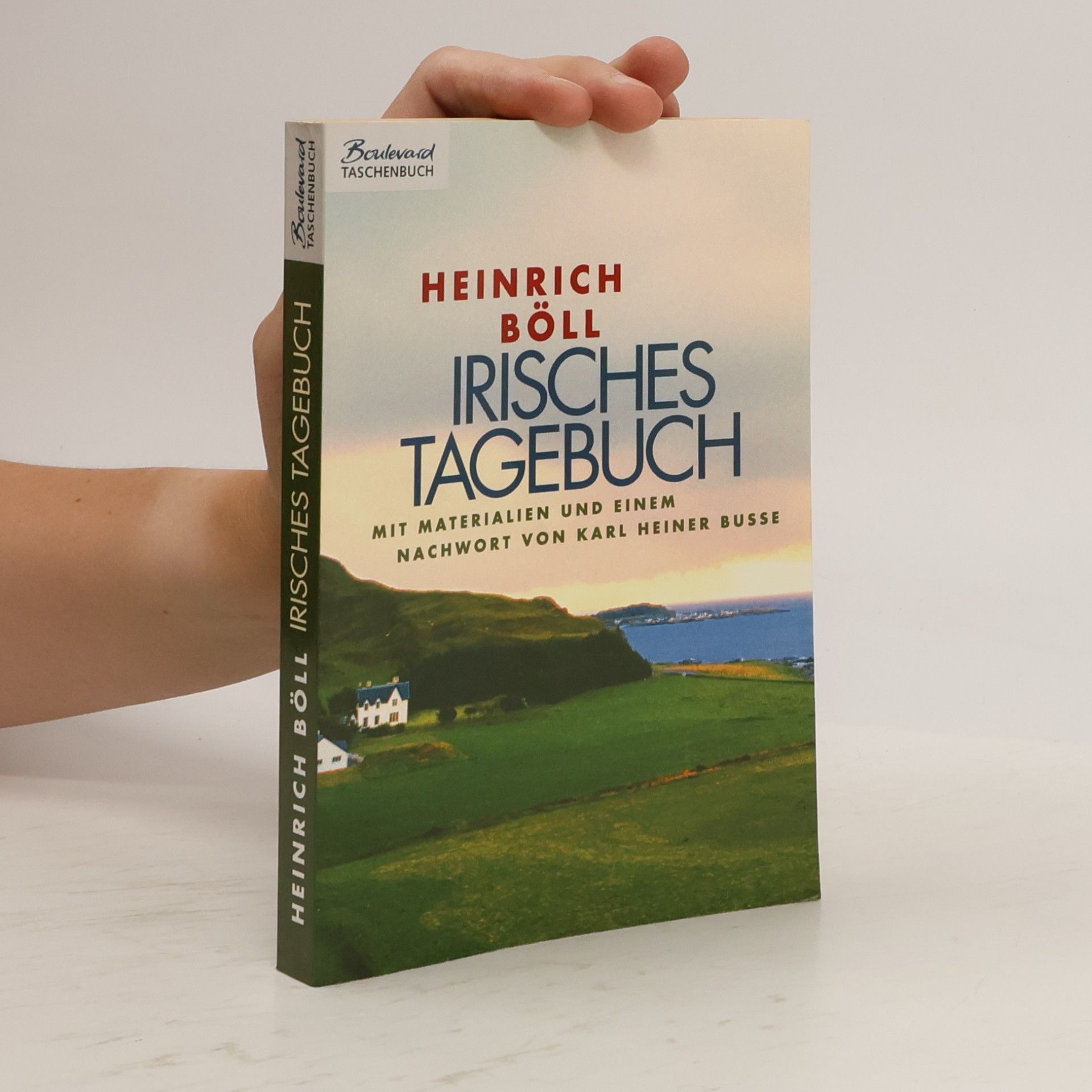 Heinrich Böll Irisches Tagebuch