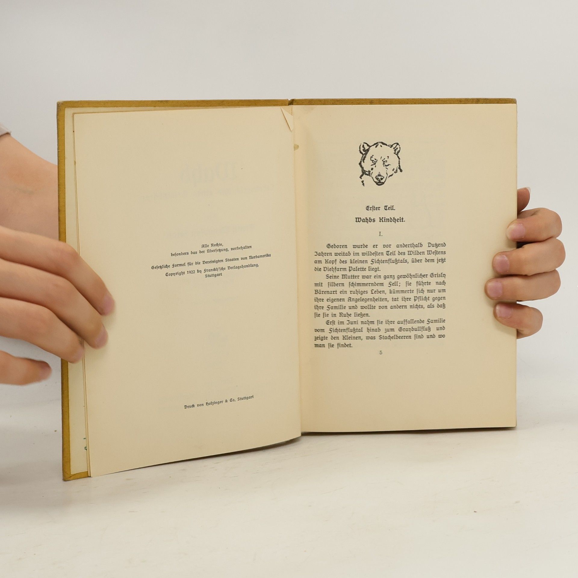 Ernest Thompson Seton Wahb: Die Lebensgeschichte eines Grislybären
