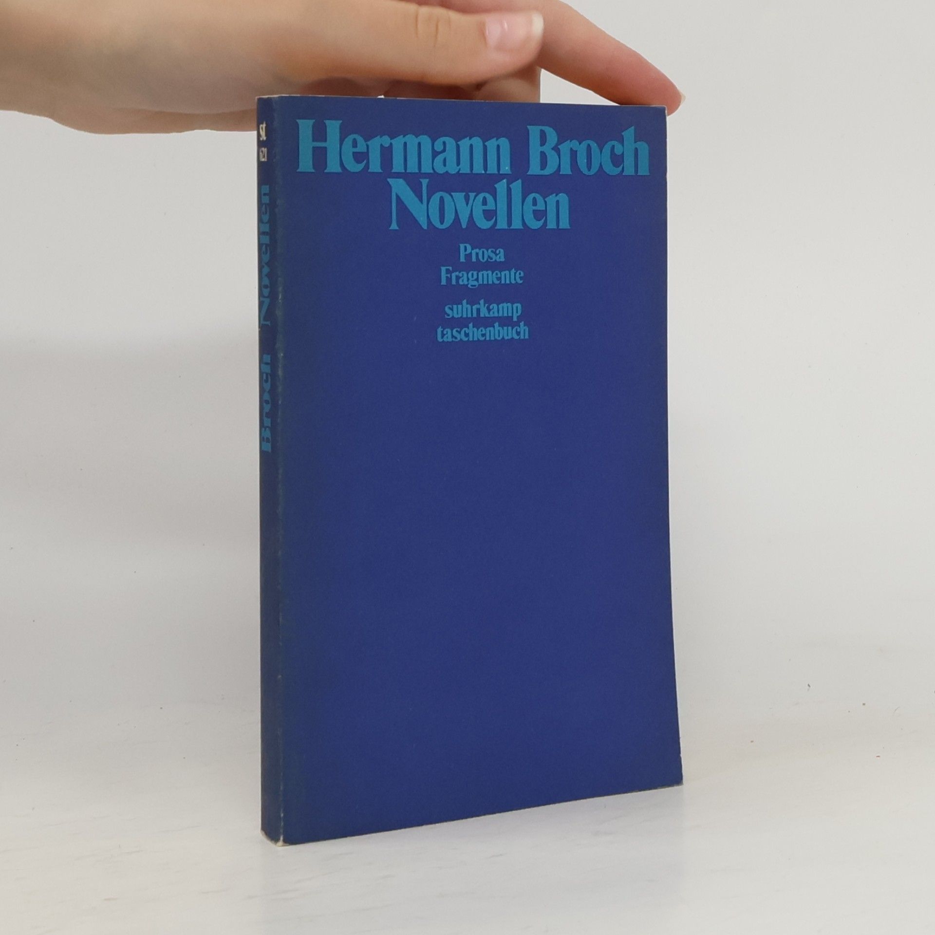 Hermann Broch Novellen