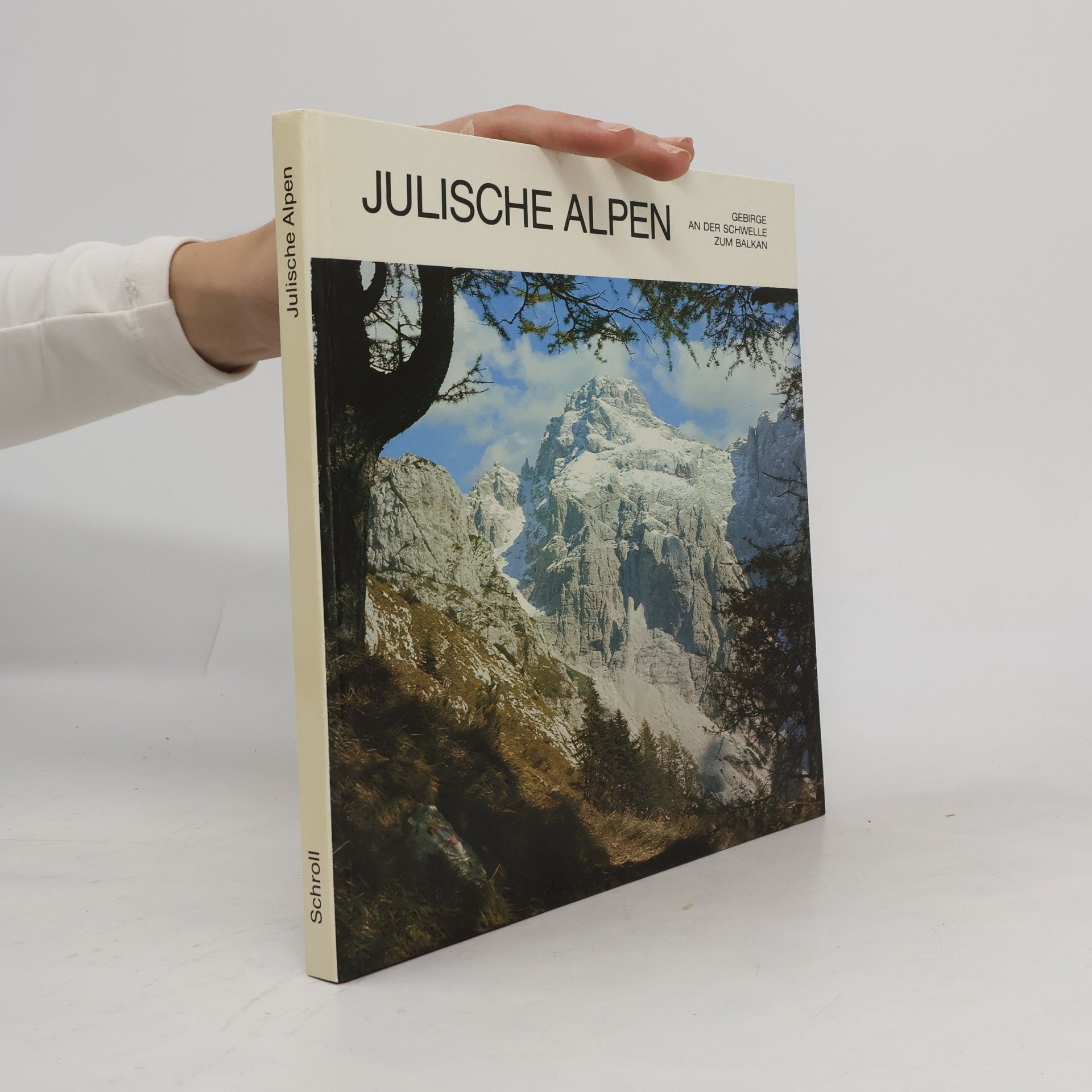 Julische Alpen