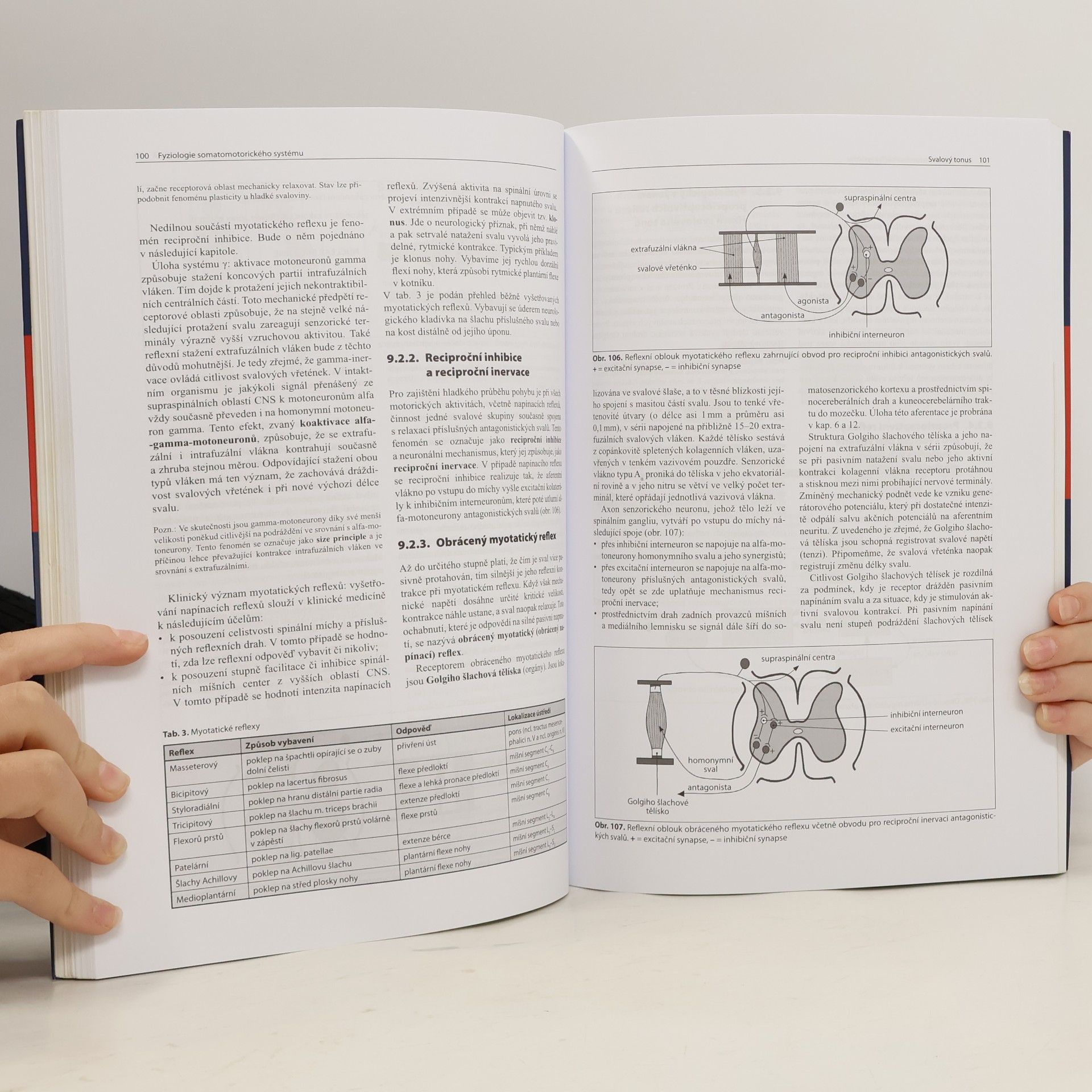 Petr Králíček Úvod do speciální neurofyziologie
