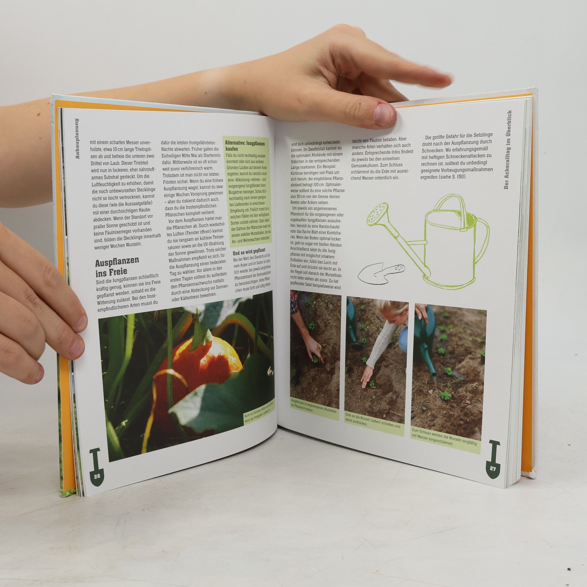 Biogärtnern für Einsteiger