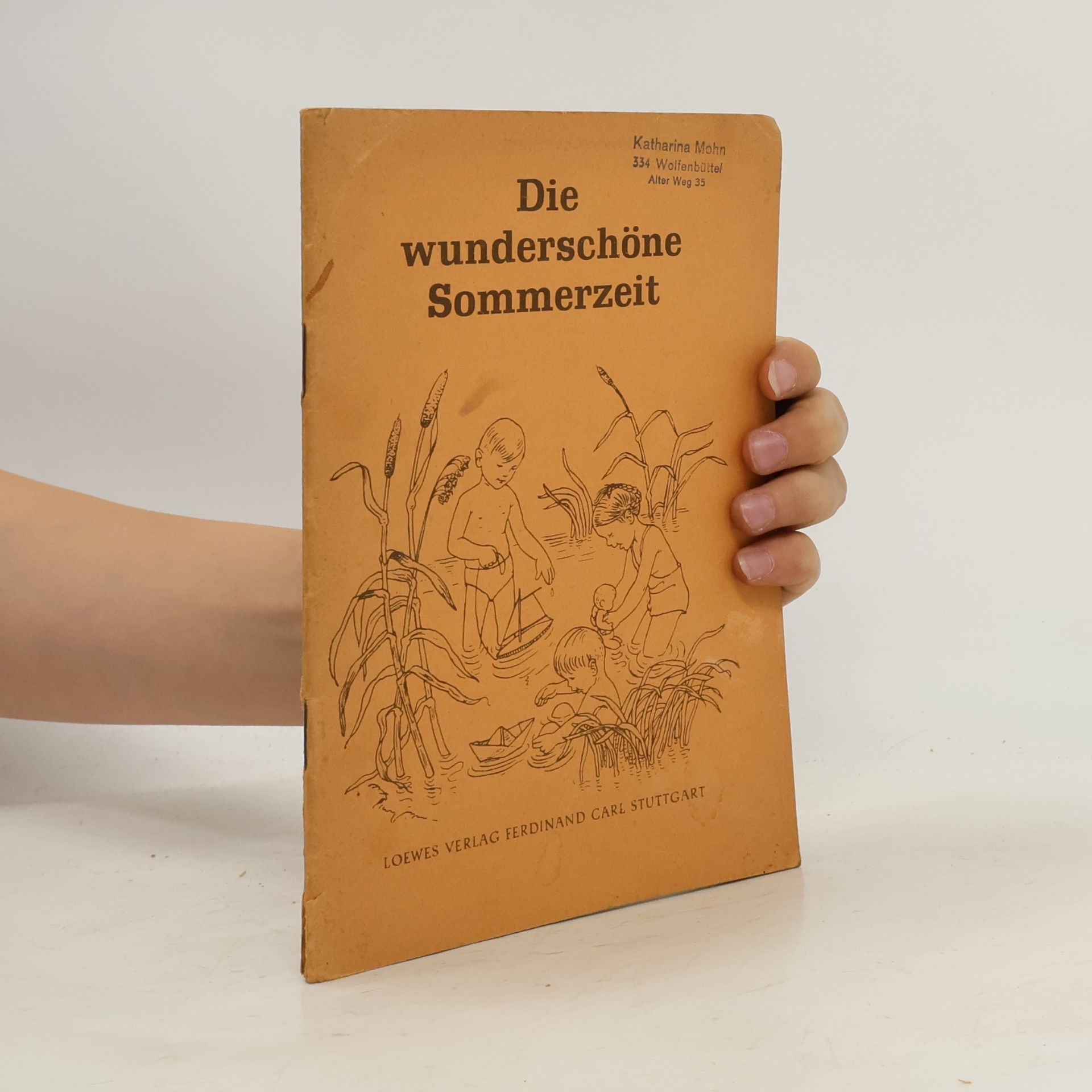 Autorenkollektiv Die wunderschöne Sommerzeit