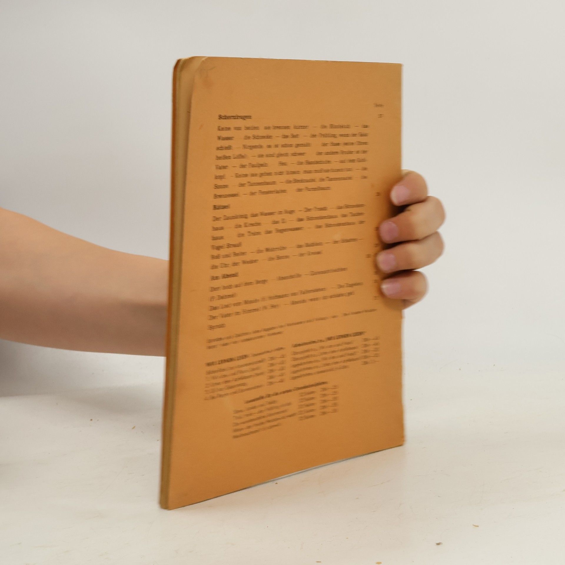 Autorenkollektiv Die wunderschöne Sommerzeit