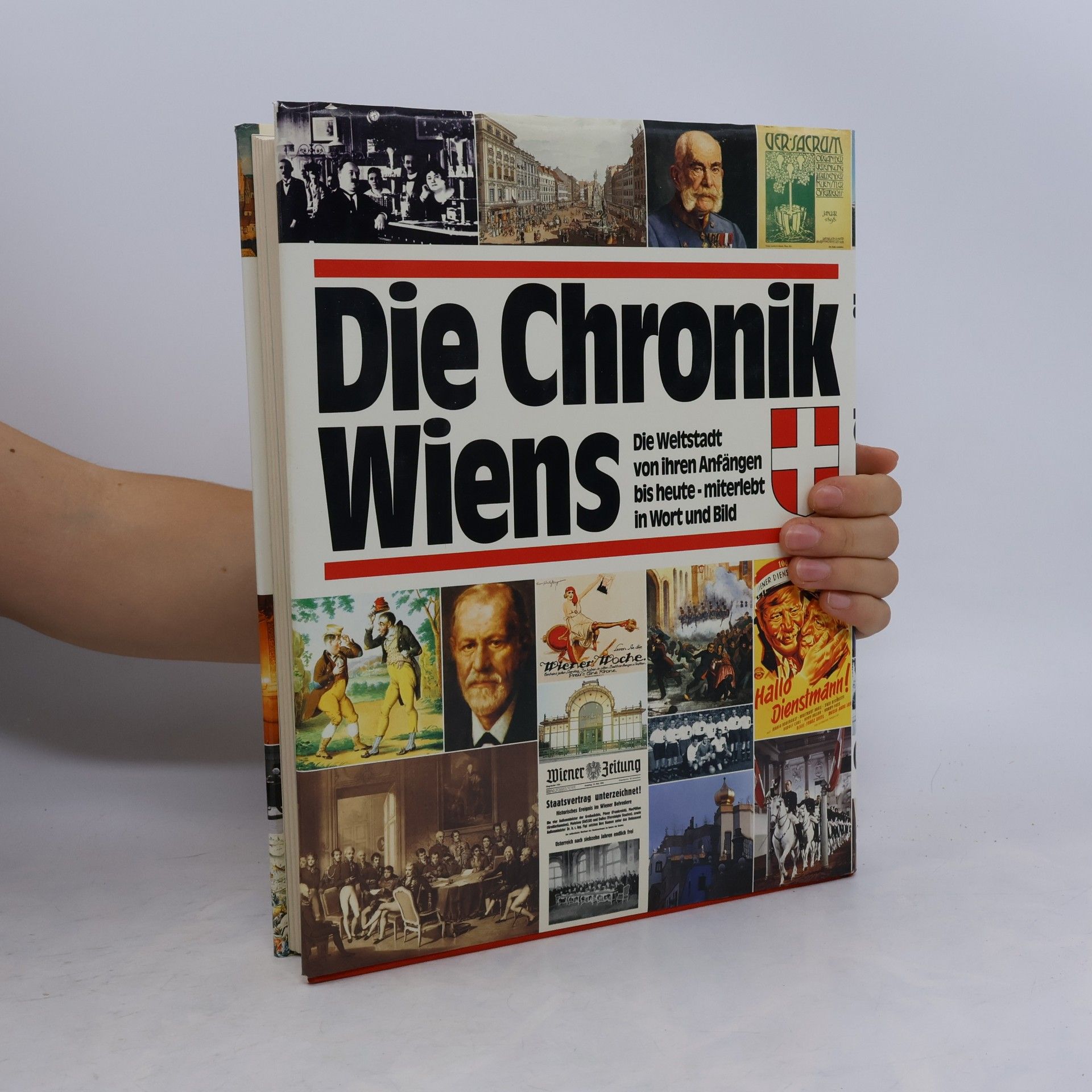 Karl Vocelka Die Chronik Wiens