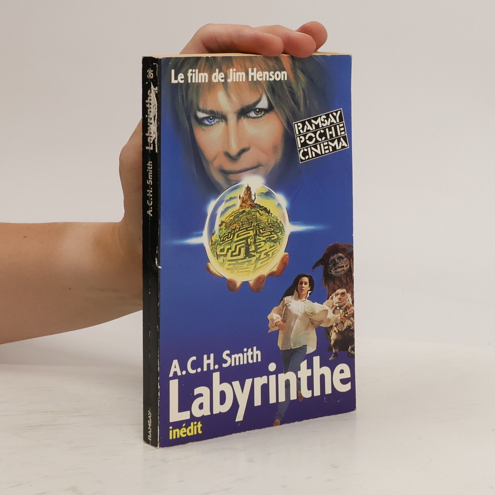 Anton C. H. Smith Labyrinthe
