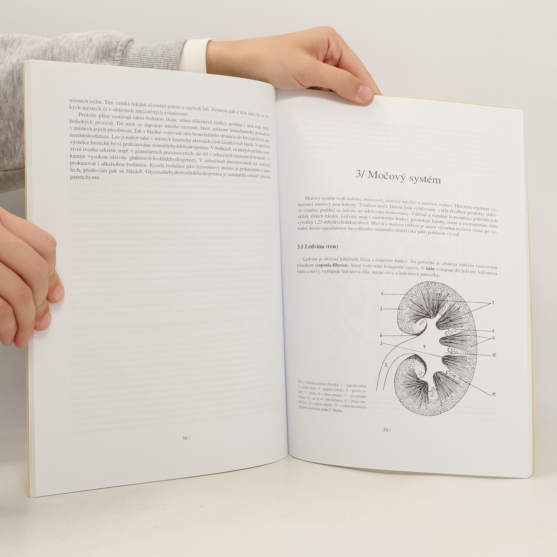 Petr Hach Histologie II