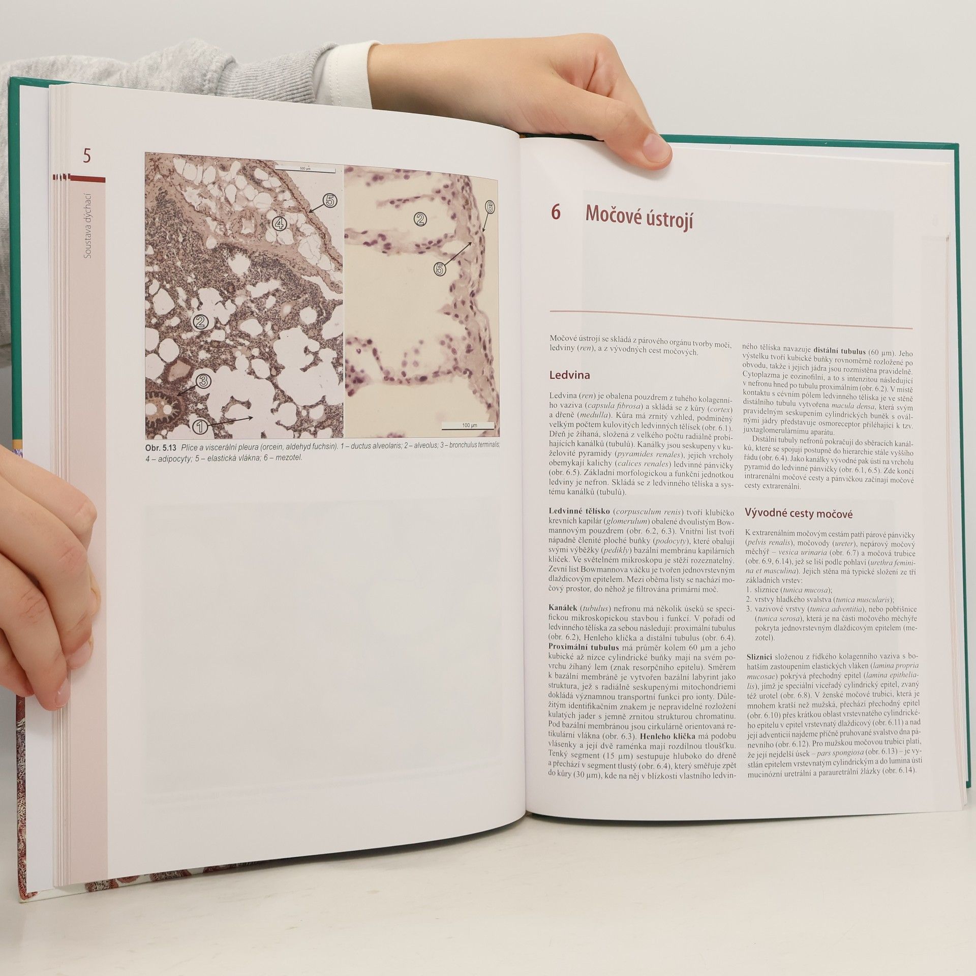 Jindřich Martínek Histologický atlas