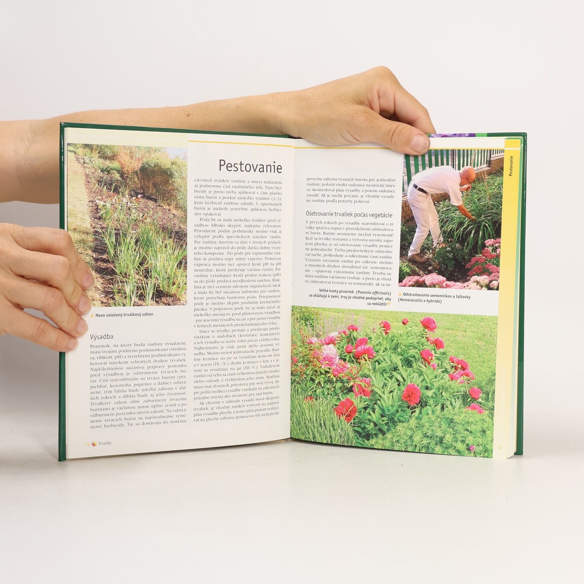 Stanislav Vilím Trvalky