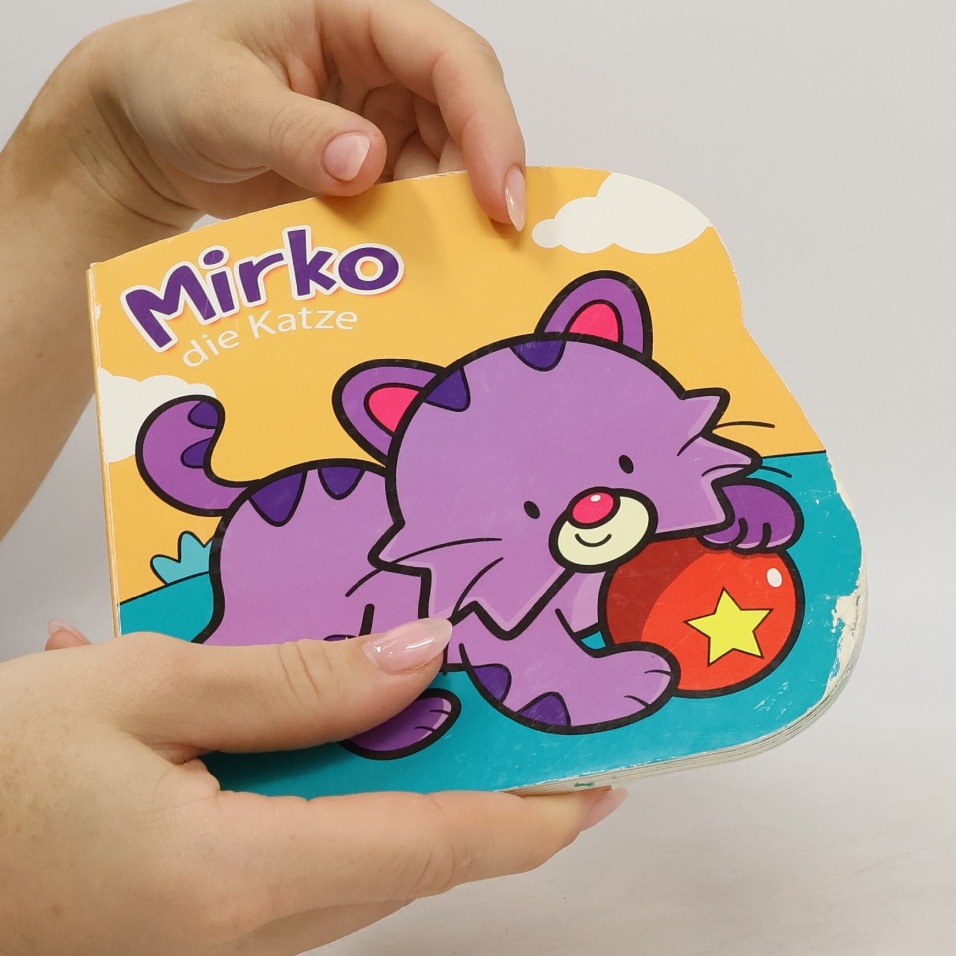 Gabriel Cortina Mirko. Die Katze