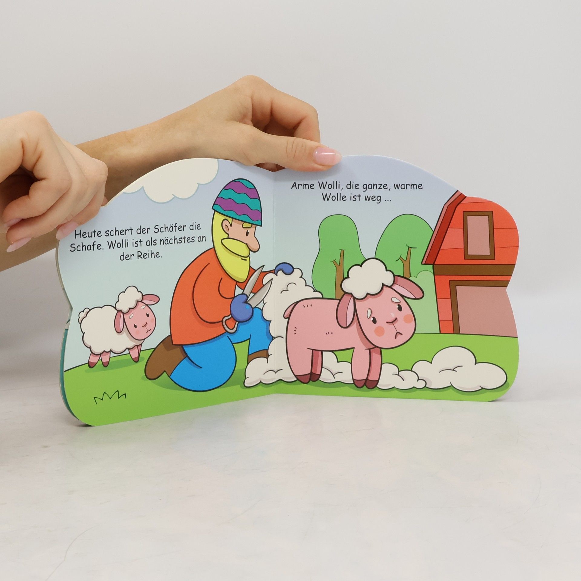 Collectif d'auteurs Wolli, das Schaf