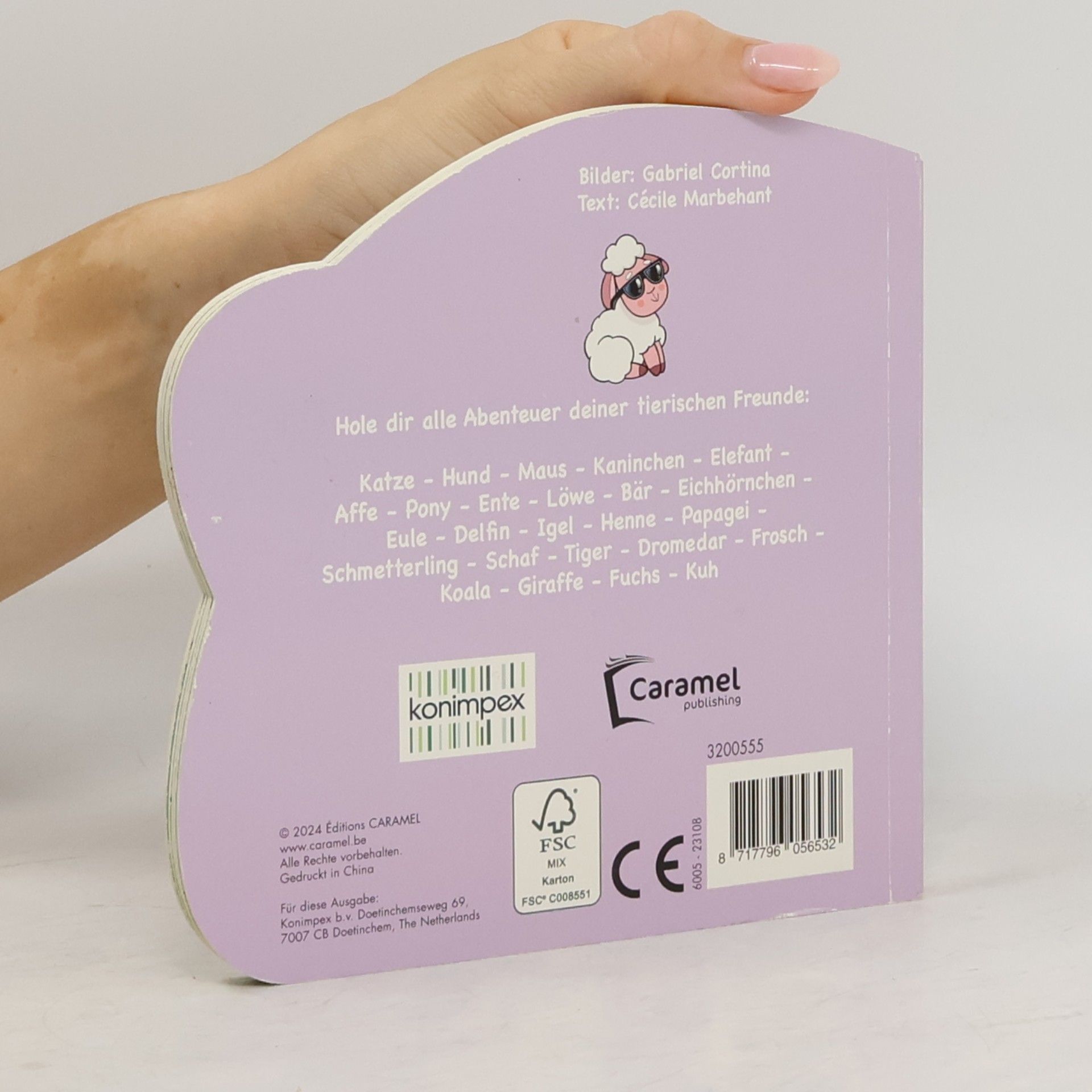 Collectif d'auteurs Wolli, das Schaf