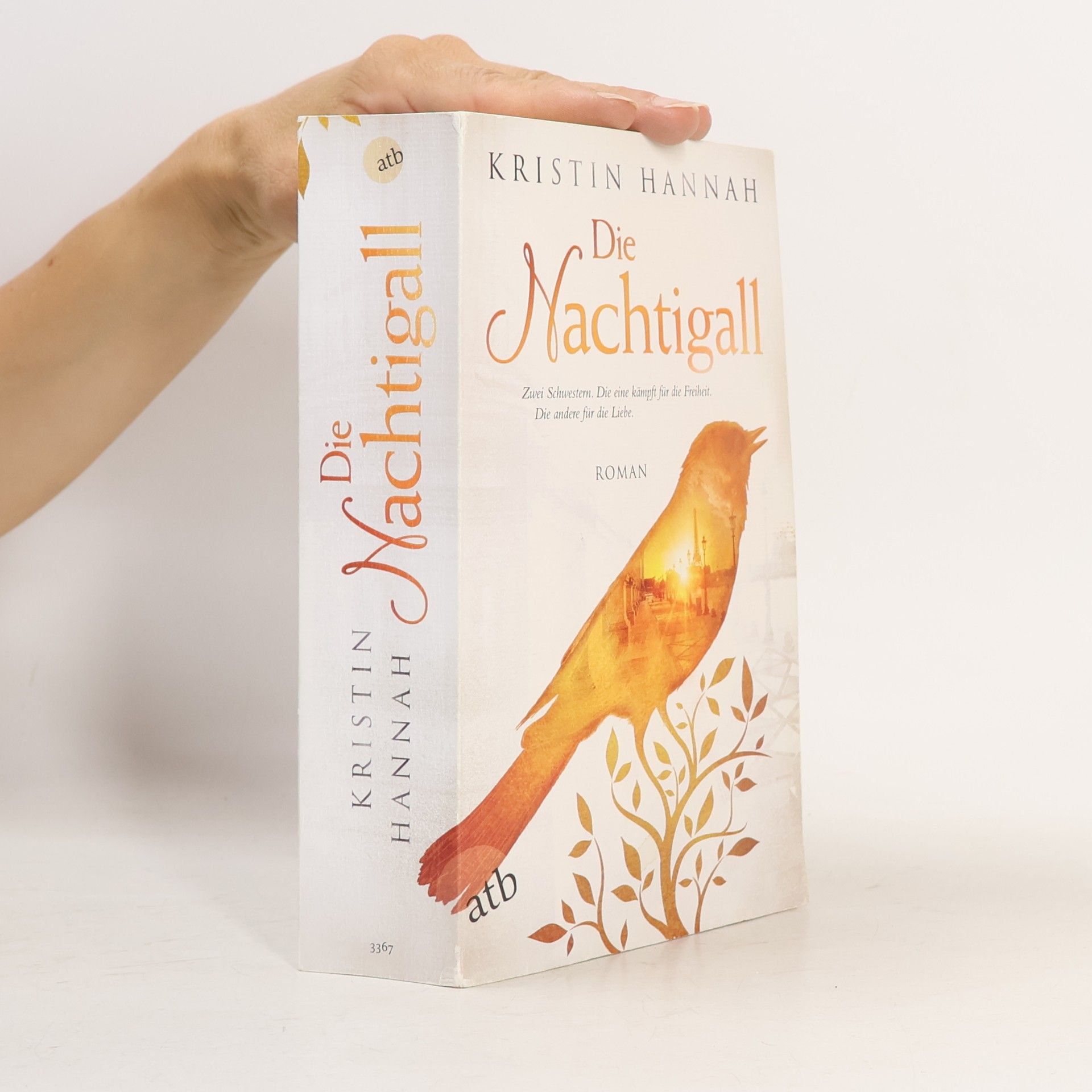 Kristin Hannah Die Nachtigall