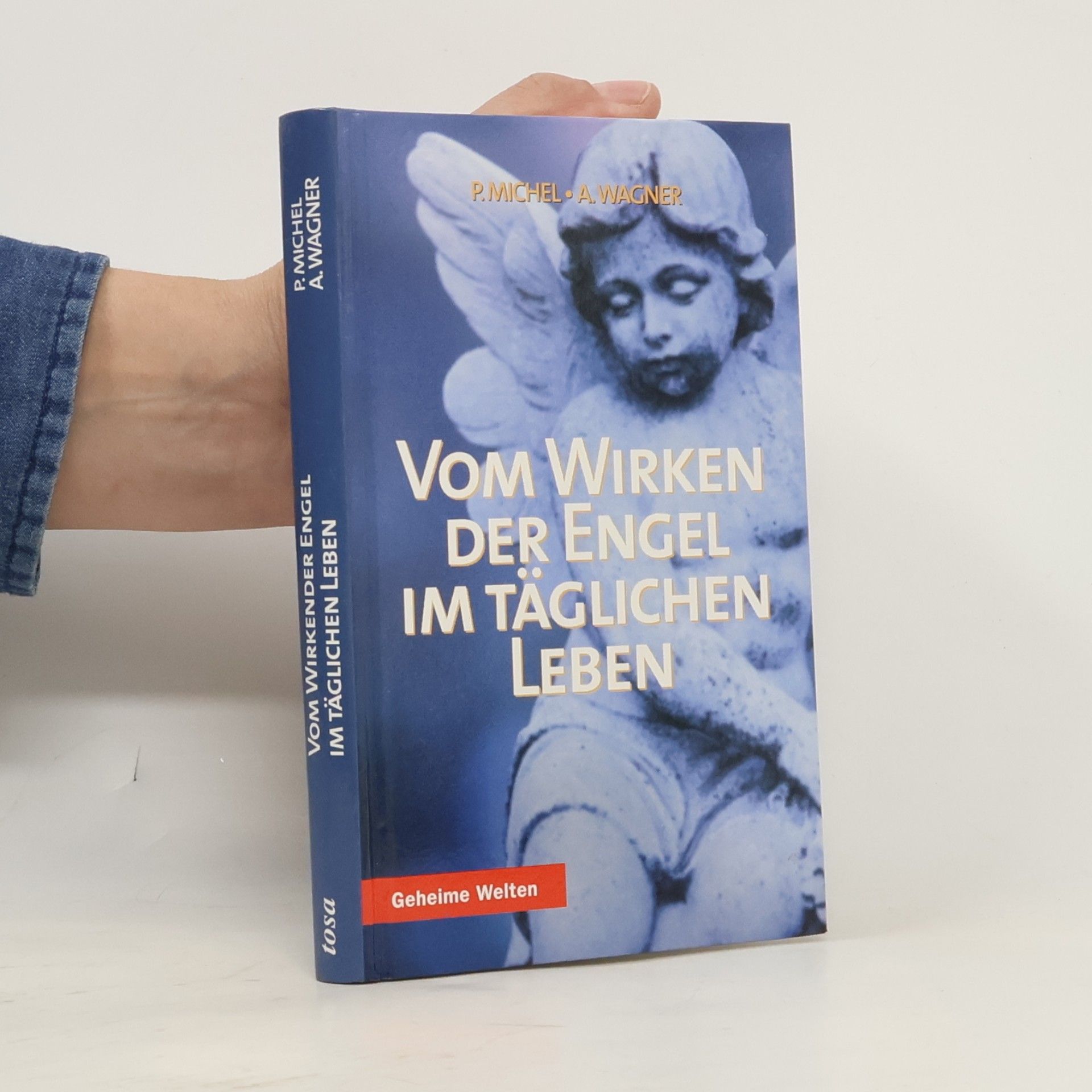 Peter Michel Vom Wirken der Engel im täglichen Leben