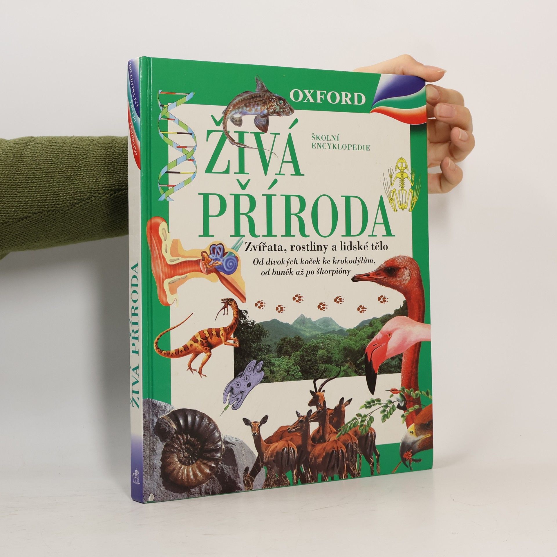 Markéta Hadačová Živá příroda