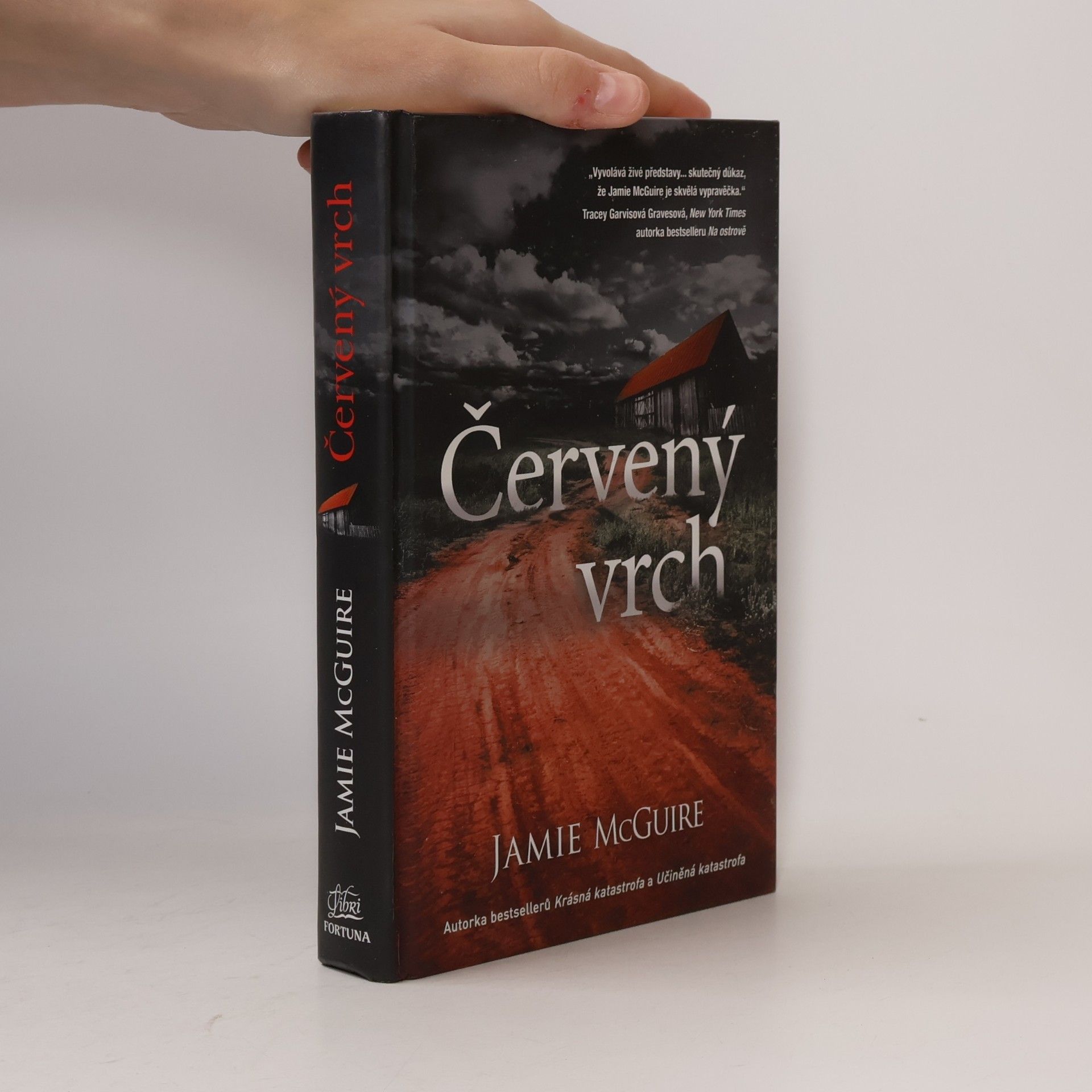 Jamie McGuire Červený vrch