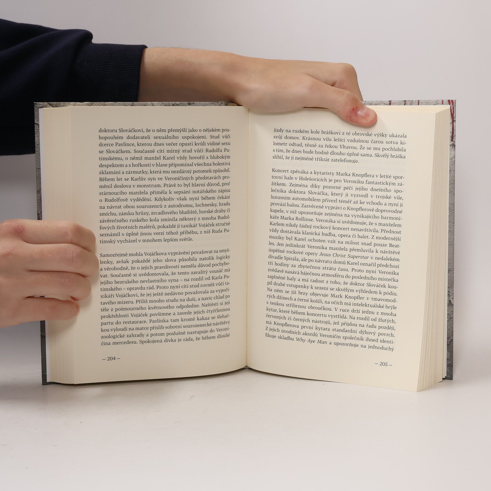 Petr Čepek Odložená spravedlnost