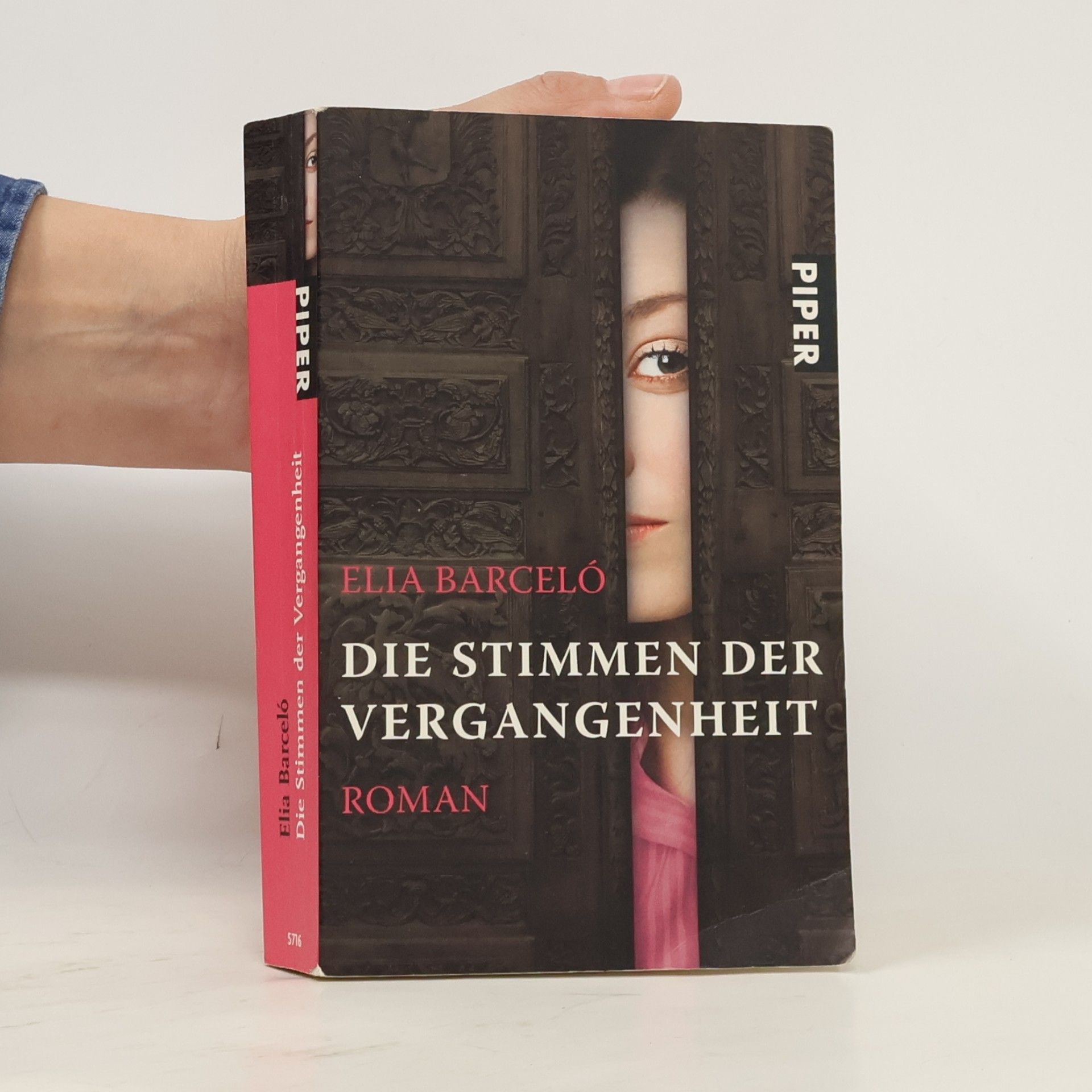 Elia Barceló Die Stimmen der Vergangenheit