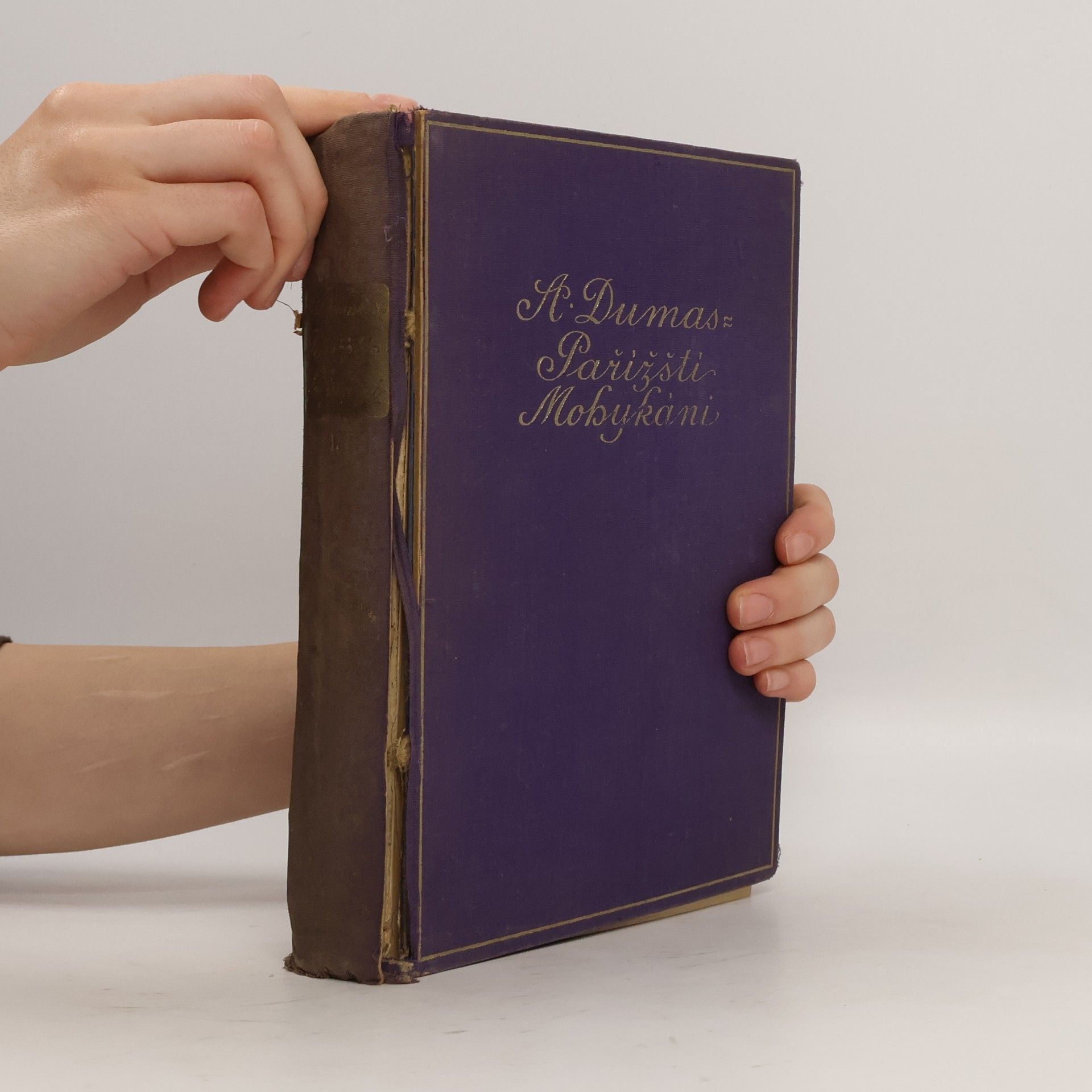 Alexandre Dumas starší Pařížští mohykáni I.