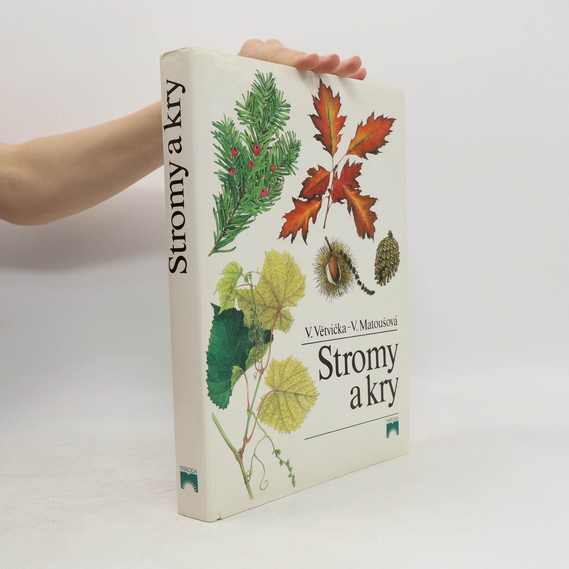 Václav Větvička Stromy a kry