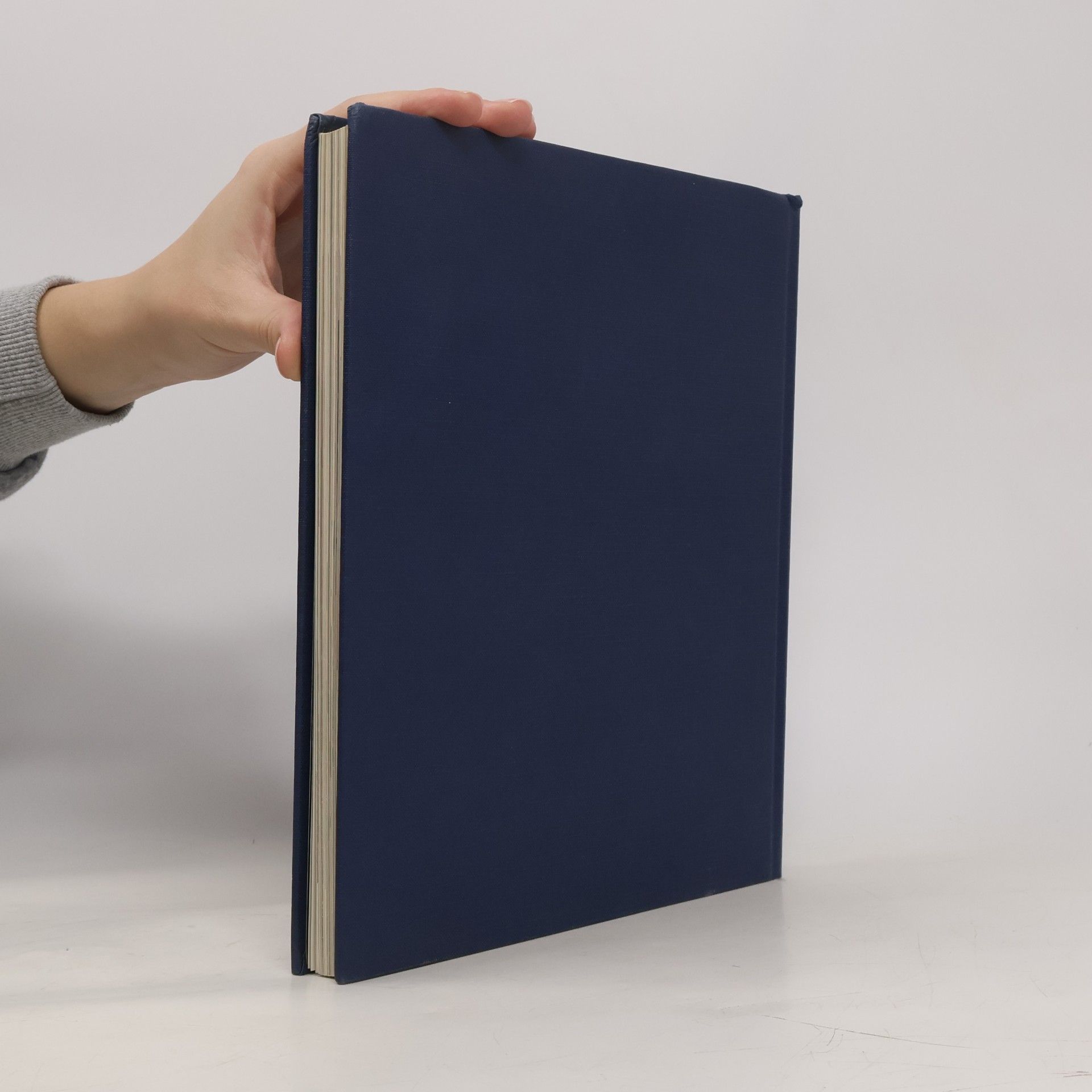 Laird Borrelli Handtaschen