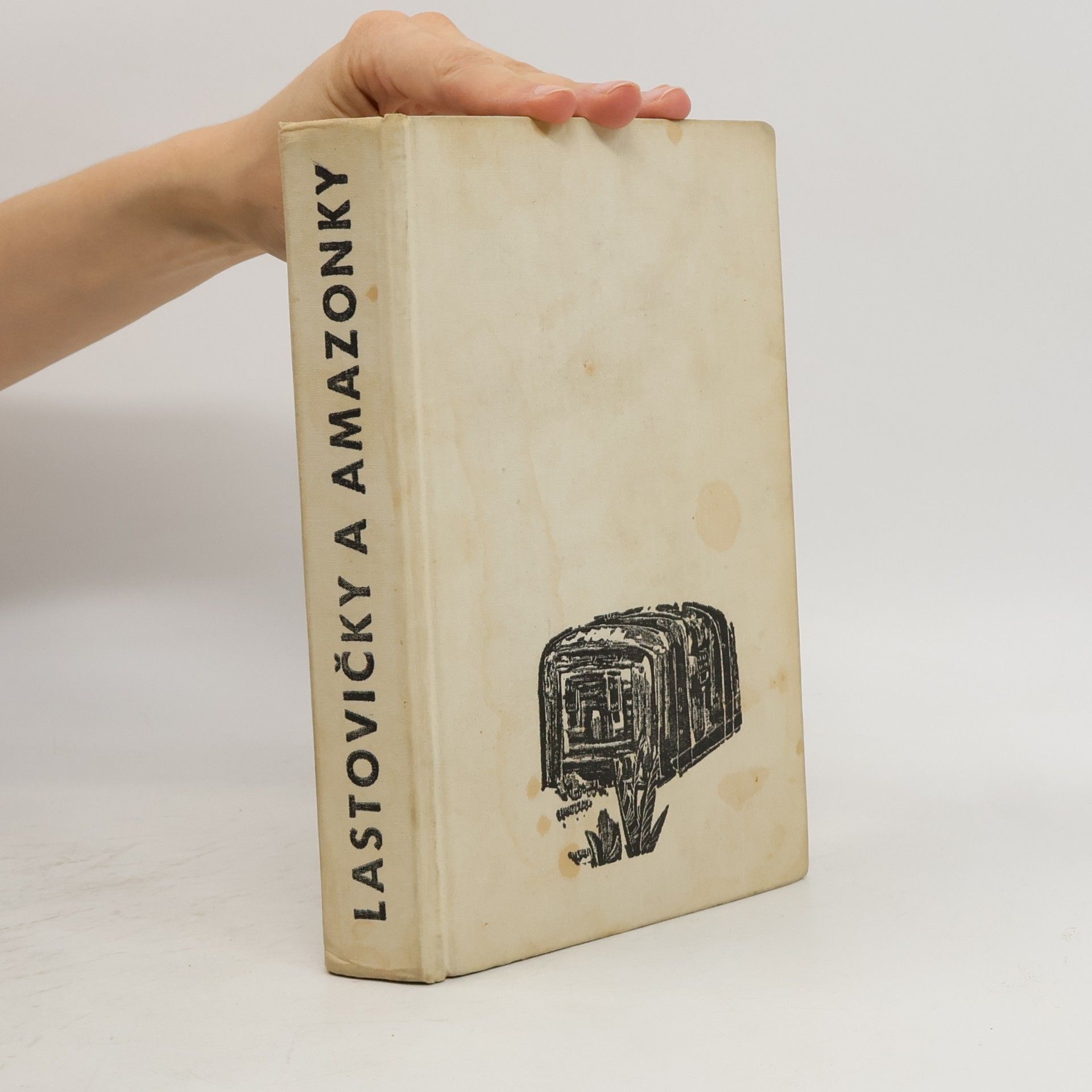 Arthur Ransome Lastovičky a amazonky