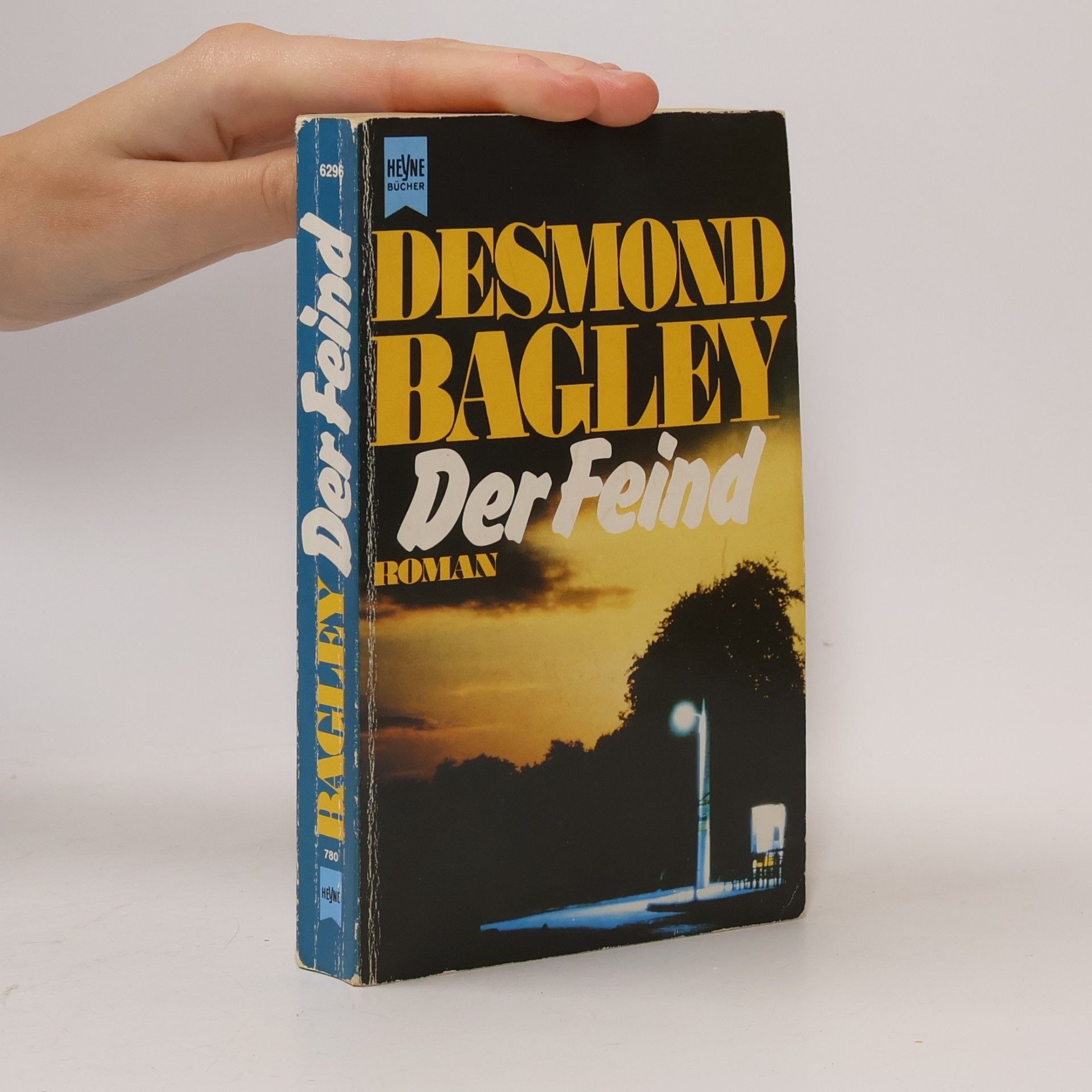 Desmond Bagley Der Feind