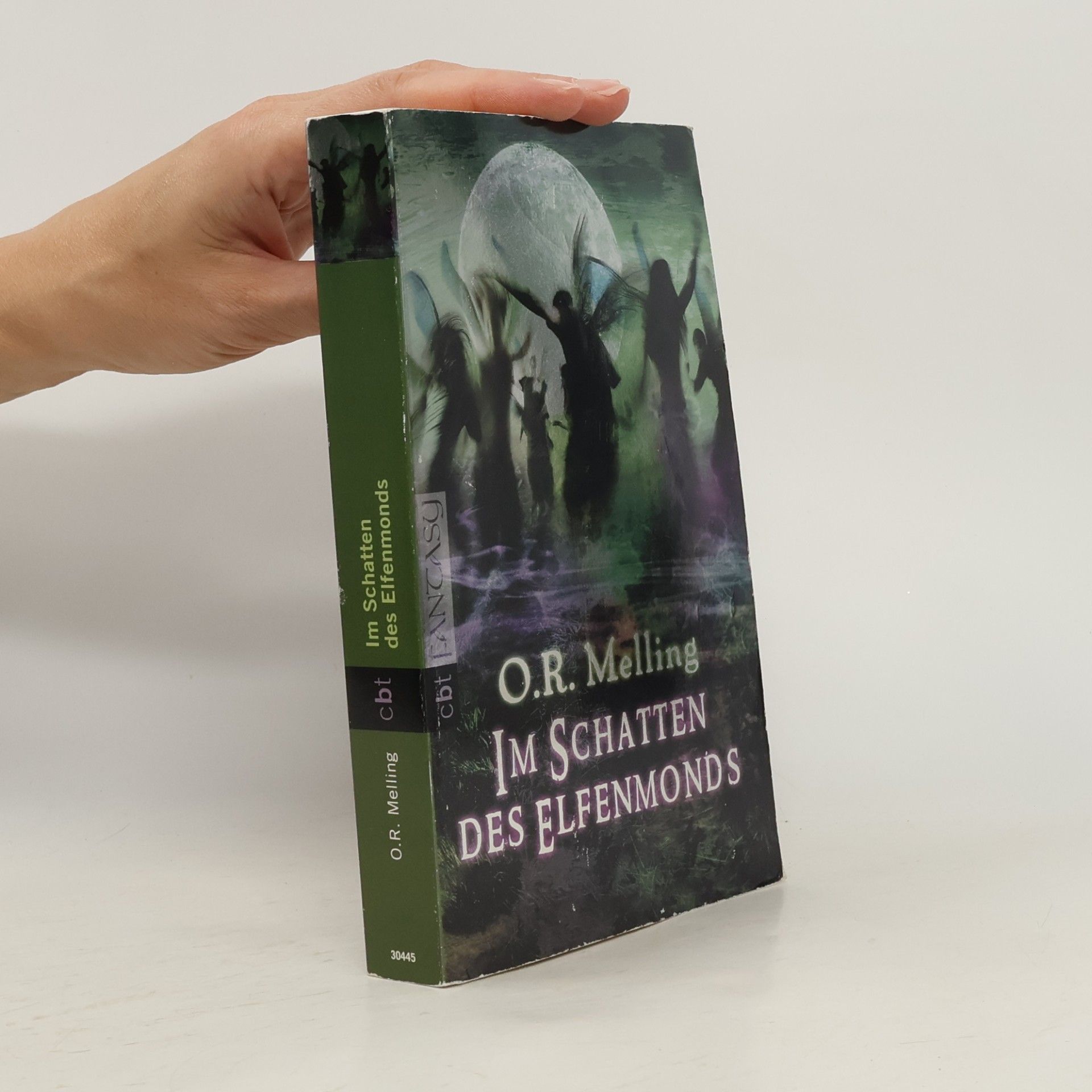 O. R. Melling Im Schatten des Elfenmonds