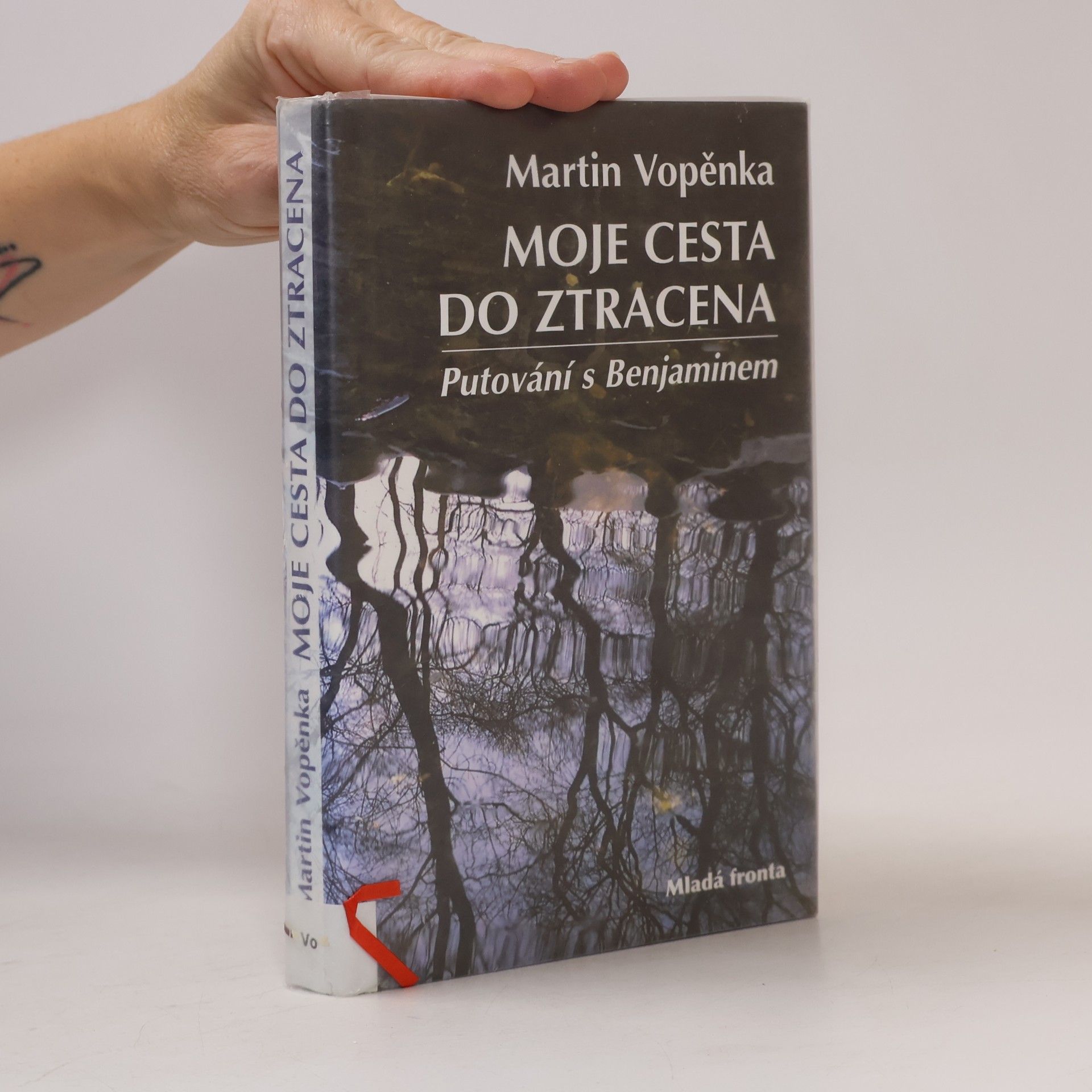Moje cesta do ztracena: Putování s Benjaminem