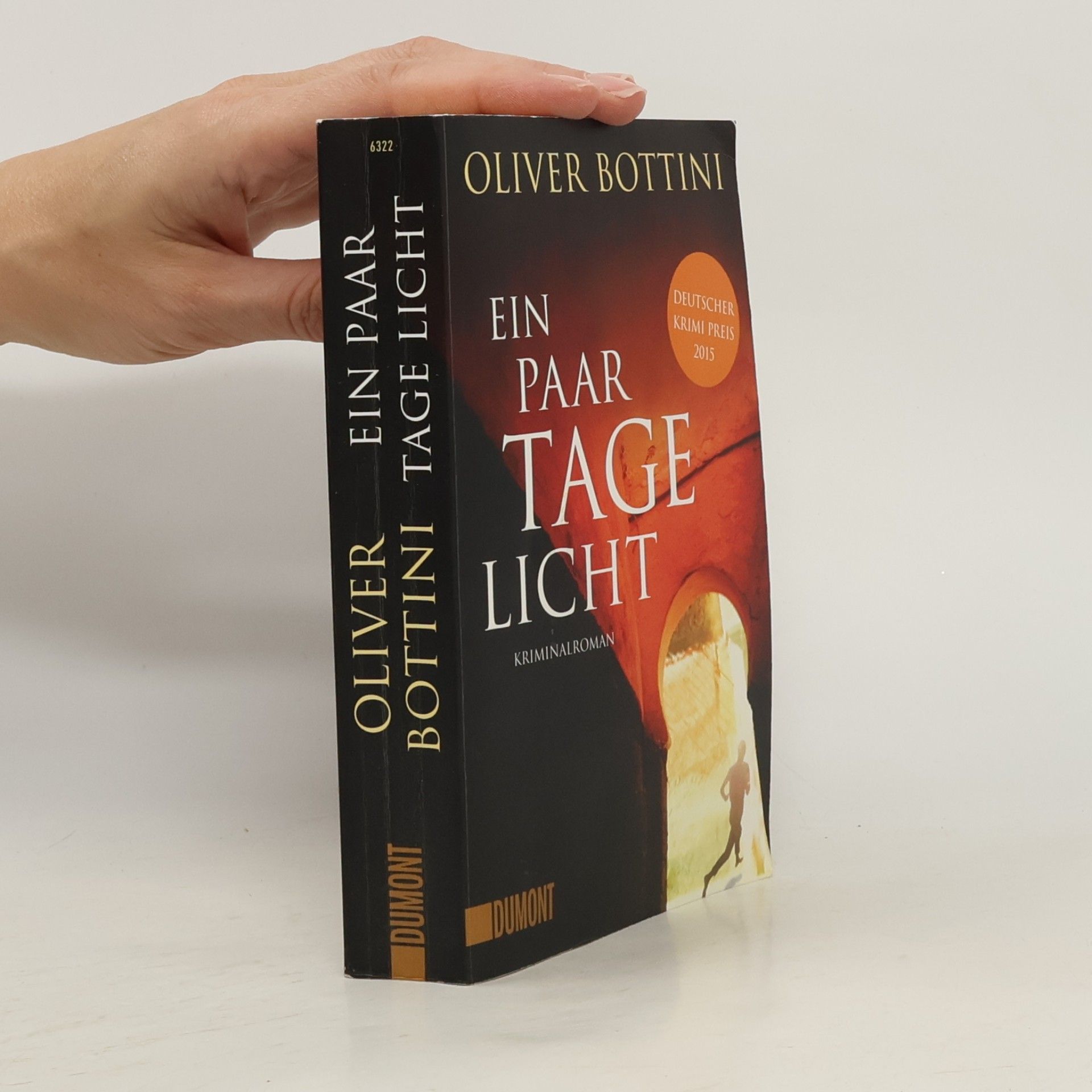 Oliver Bottini Ein paar Tage Licht
