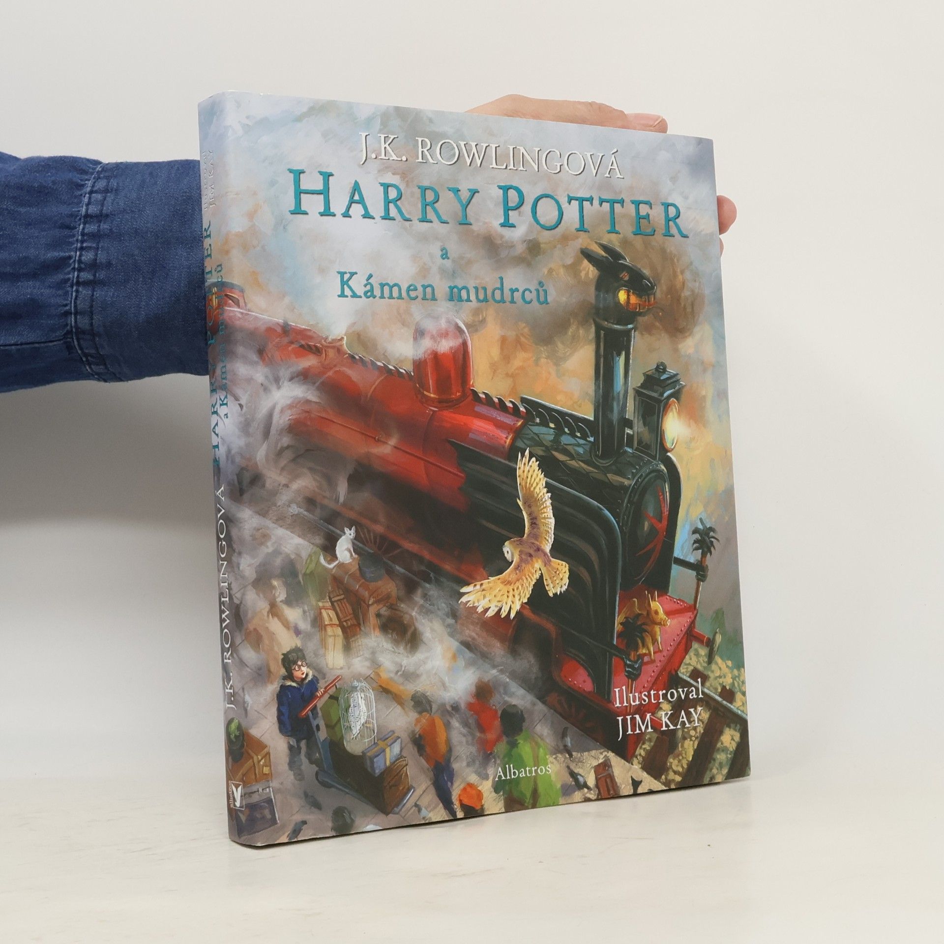 Harry Potter a kámen mudrců