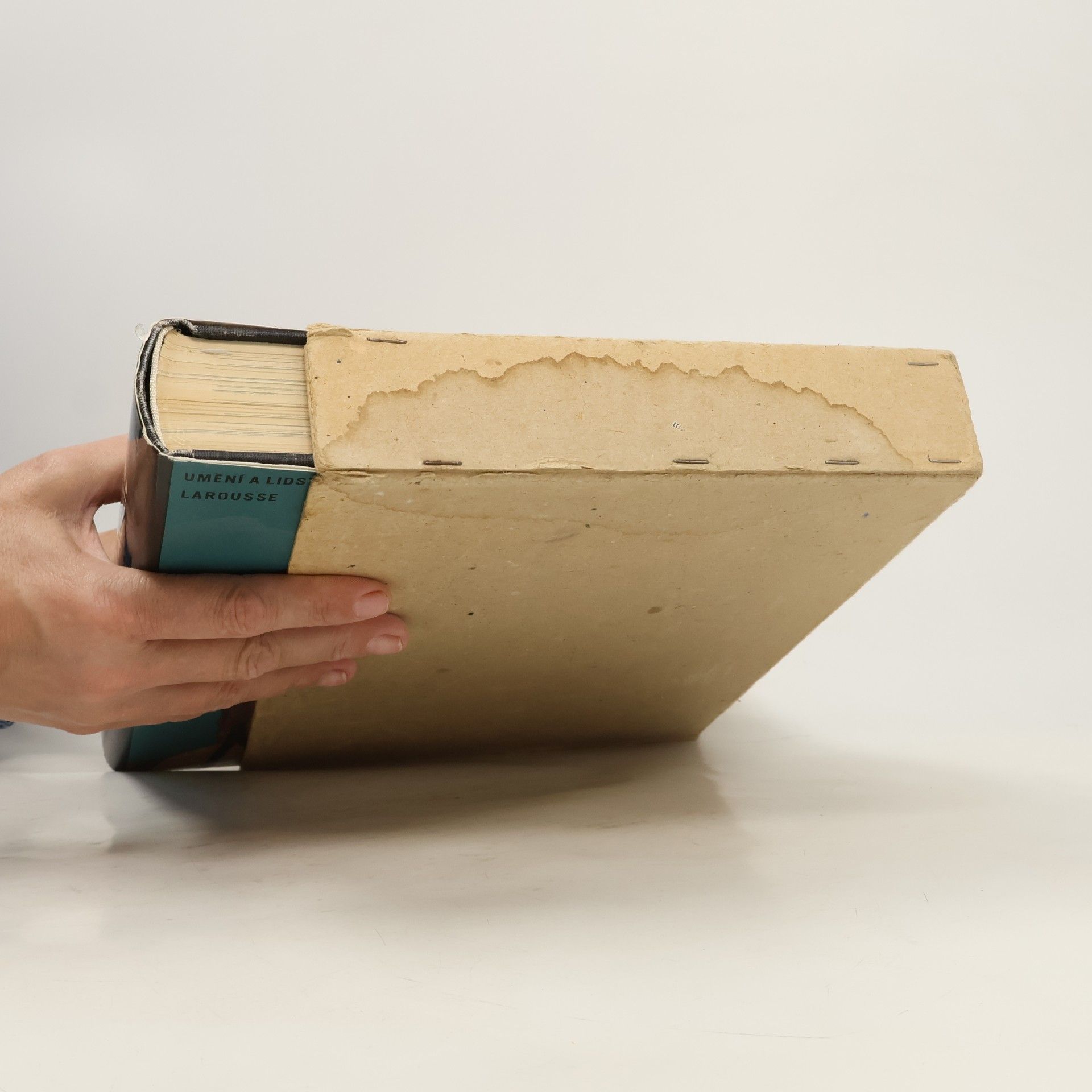 Autorenkollektiv Umění renesance a baroku