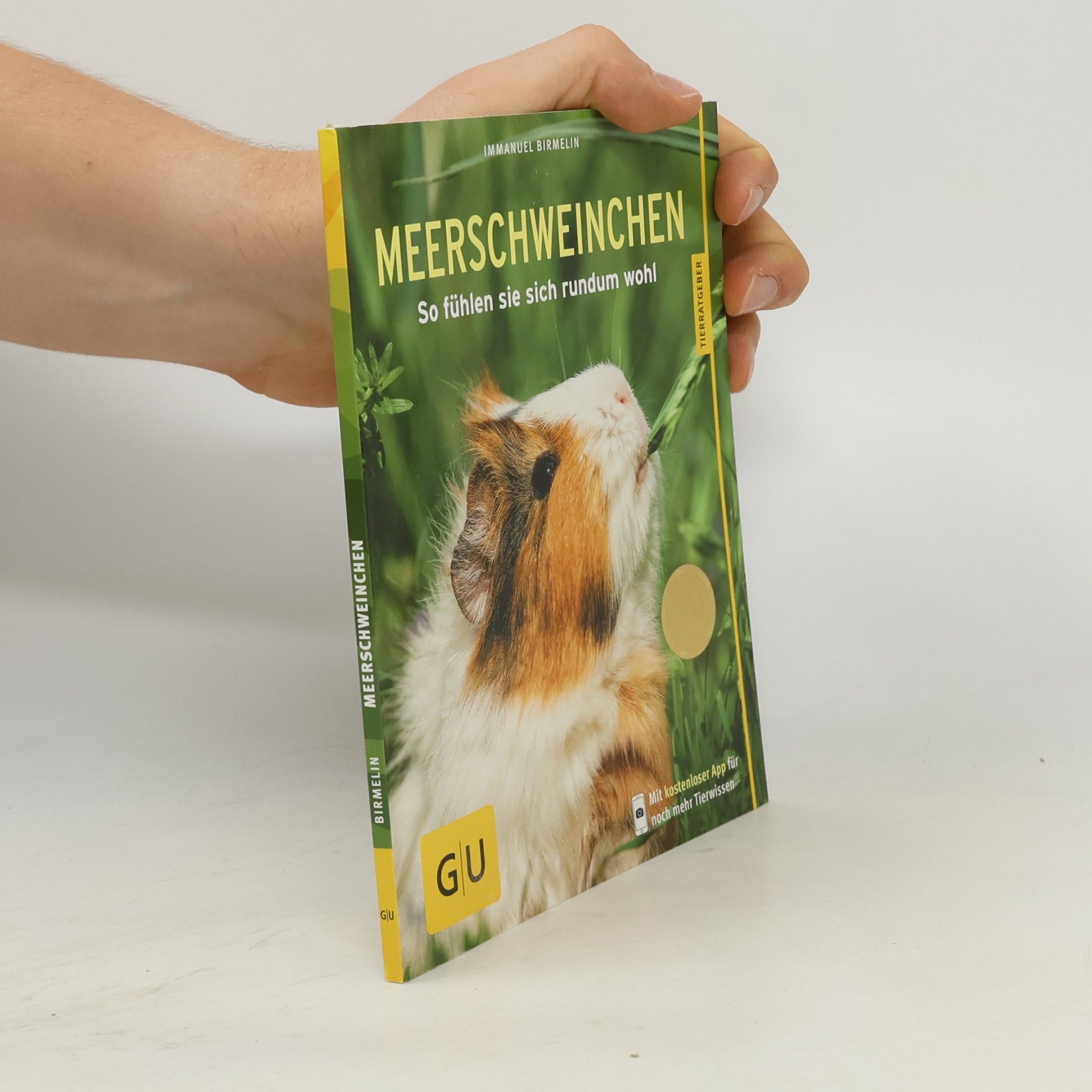 Immanuel Birmelin Meerschweinchen