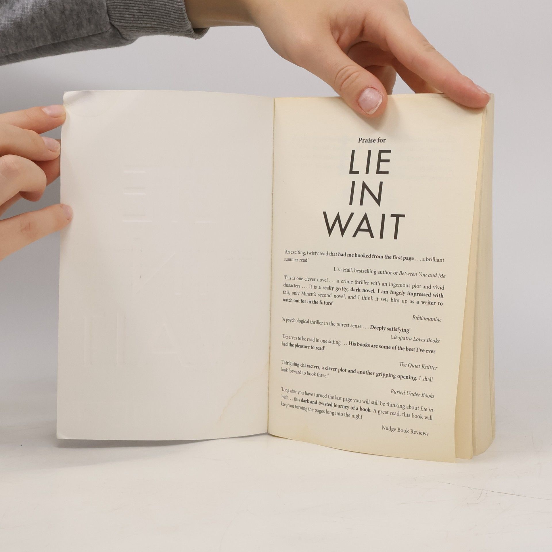 G. J. Minett Lie in Wait