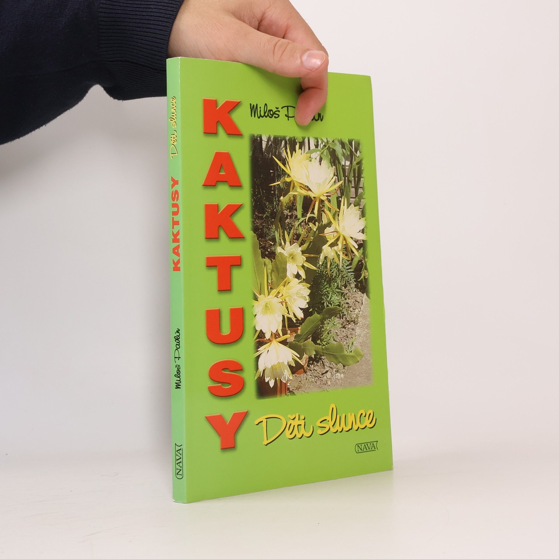 Pavlín Miloš Kaktusy - děti slunce