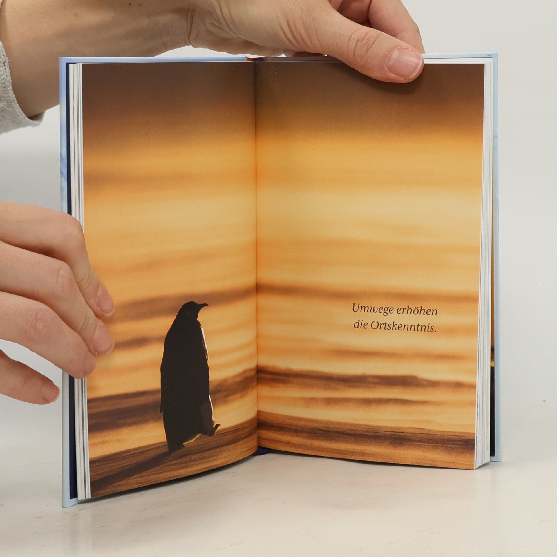 Eckart von Hirschhausen Der Pinguin, der fliegen lernte