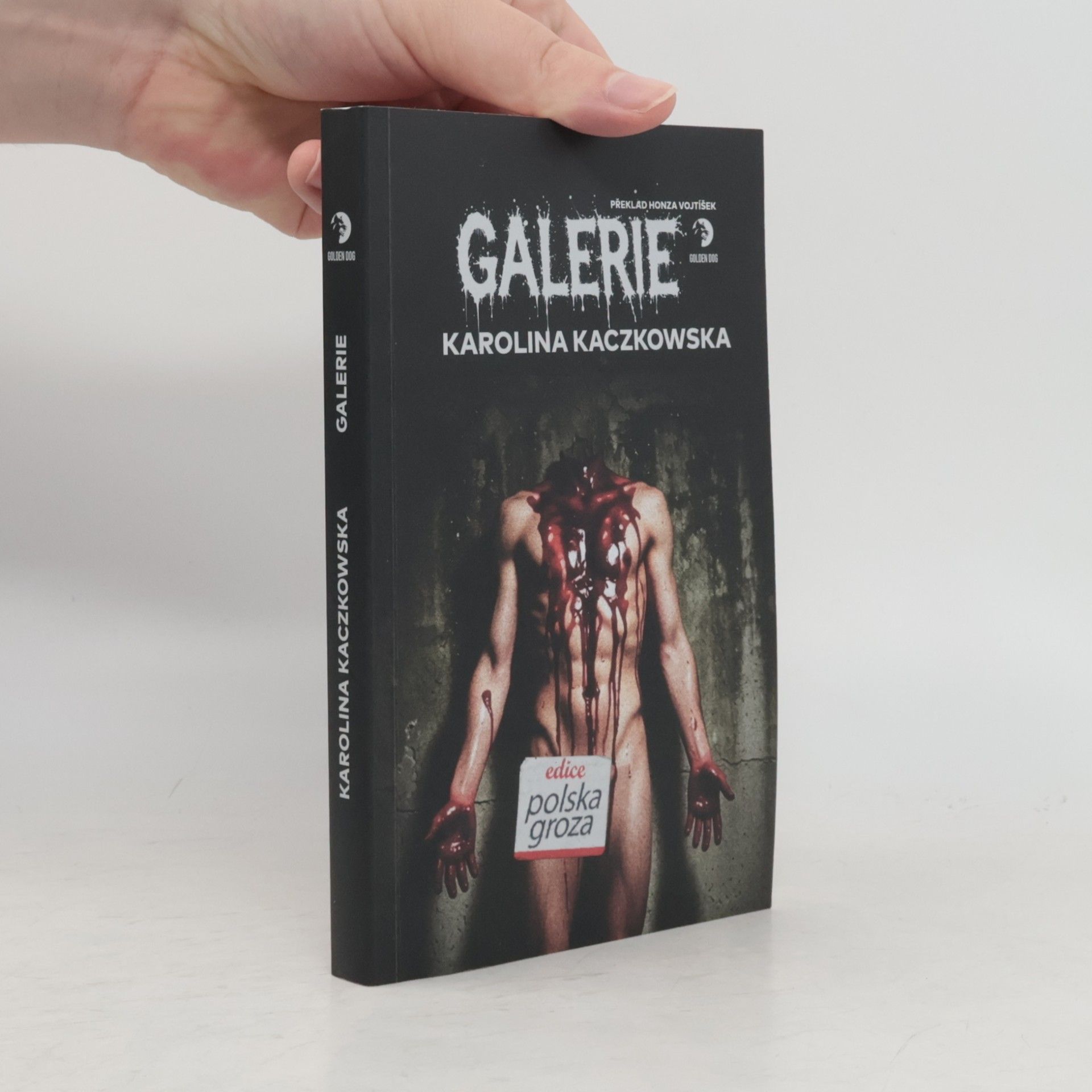 Karolina Kaczkowska Galerie